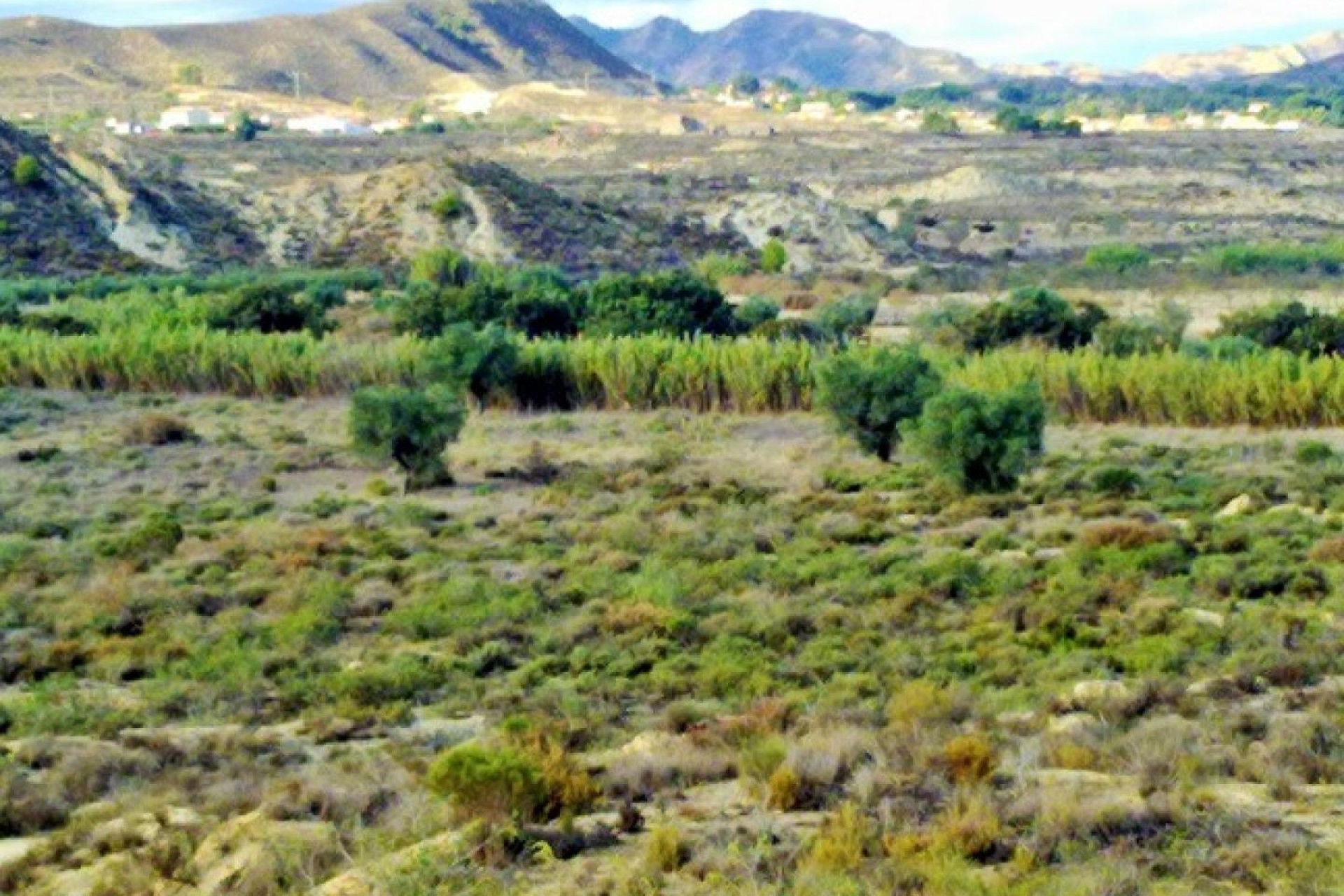 Revente - Parcelle Terrain -
Torremendo