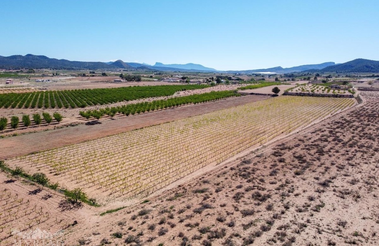 Revente - Parcelle / Terrain -
&Uacute;beda - &Uacute;beda Alicante