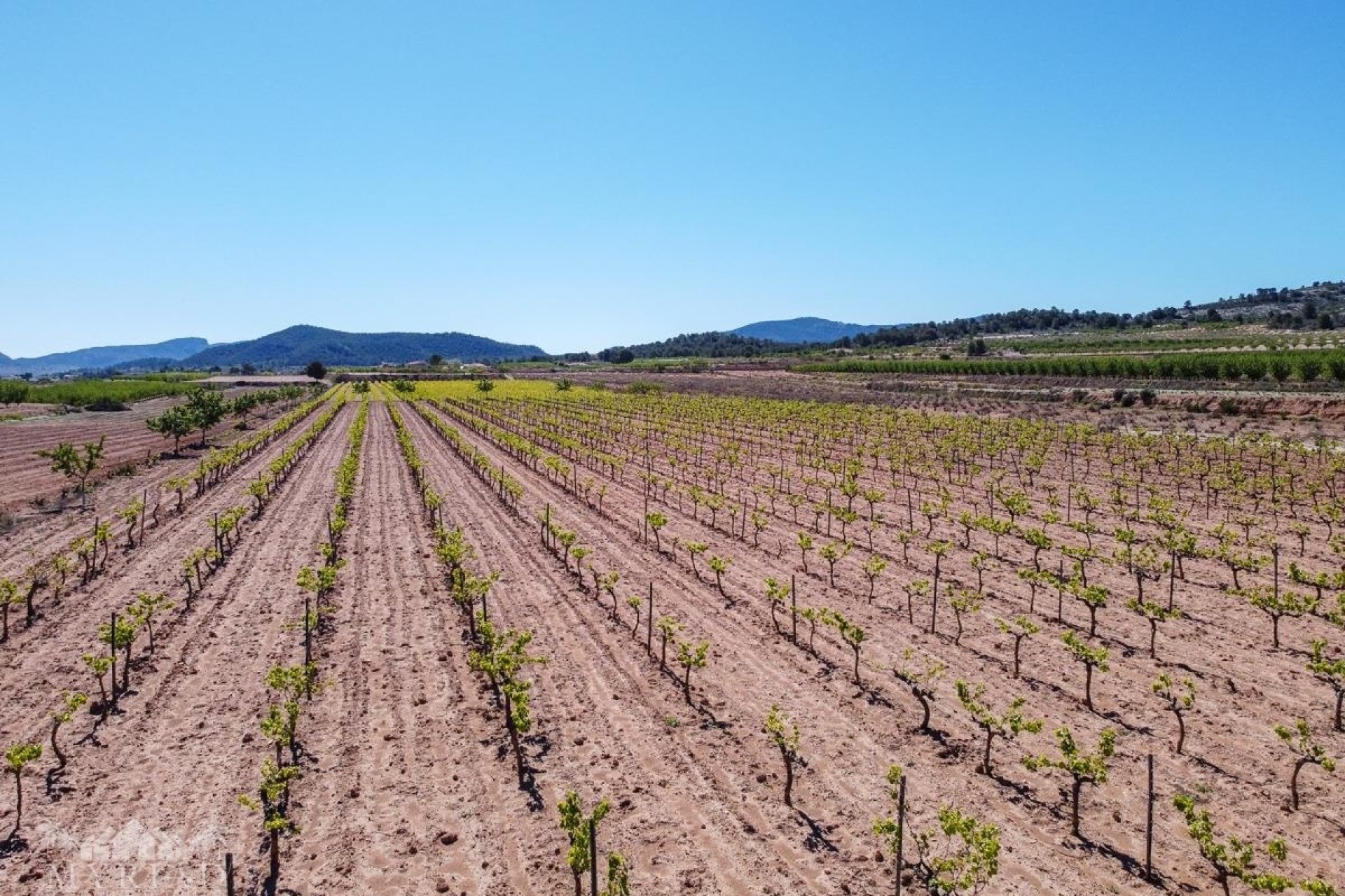 Revente - Parcelle / Terrain -
&Uacute;beda - &Uacute;beda Alicante