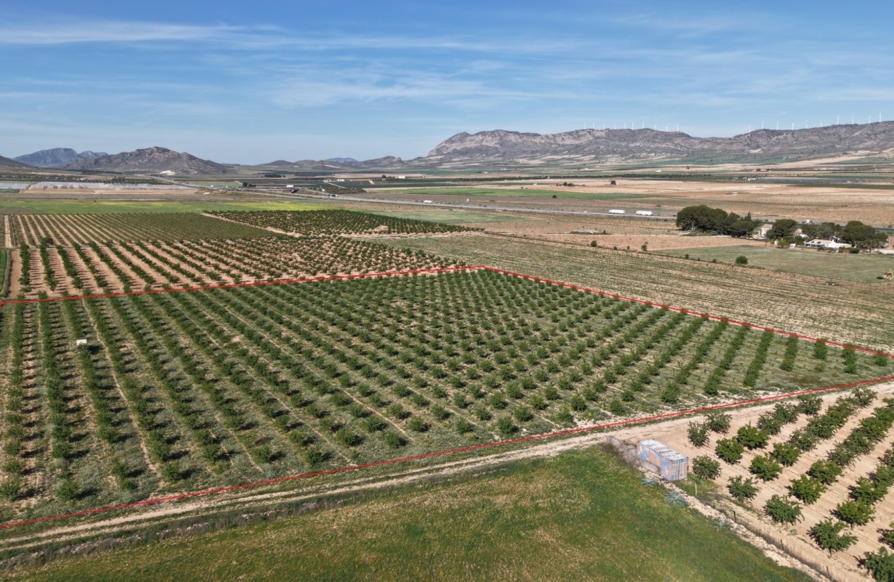 Revente - Parcelle Terrain -
Yecla - Yecla Murcia