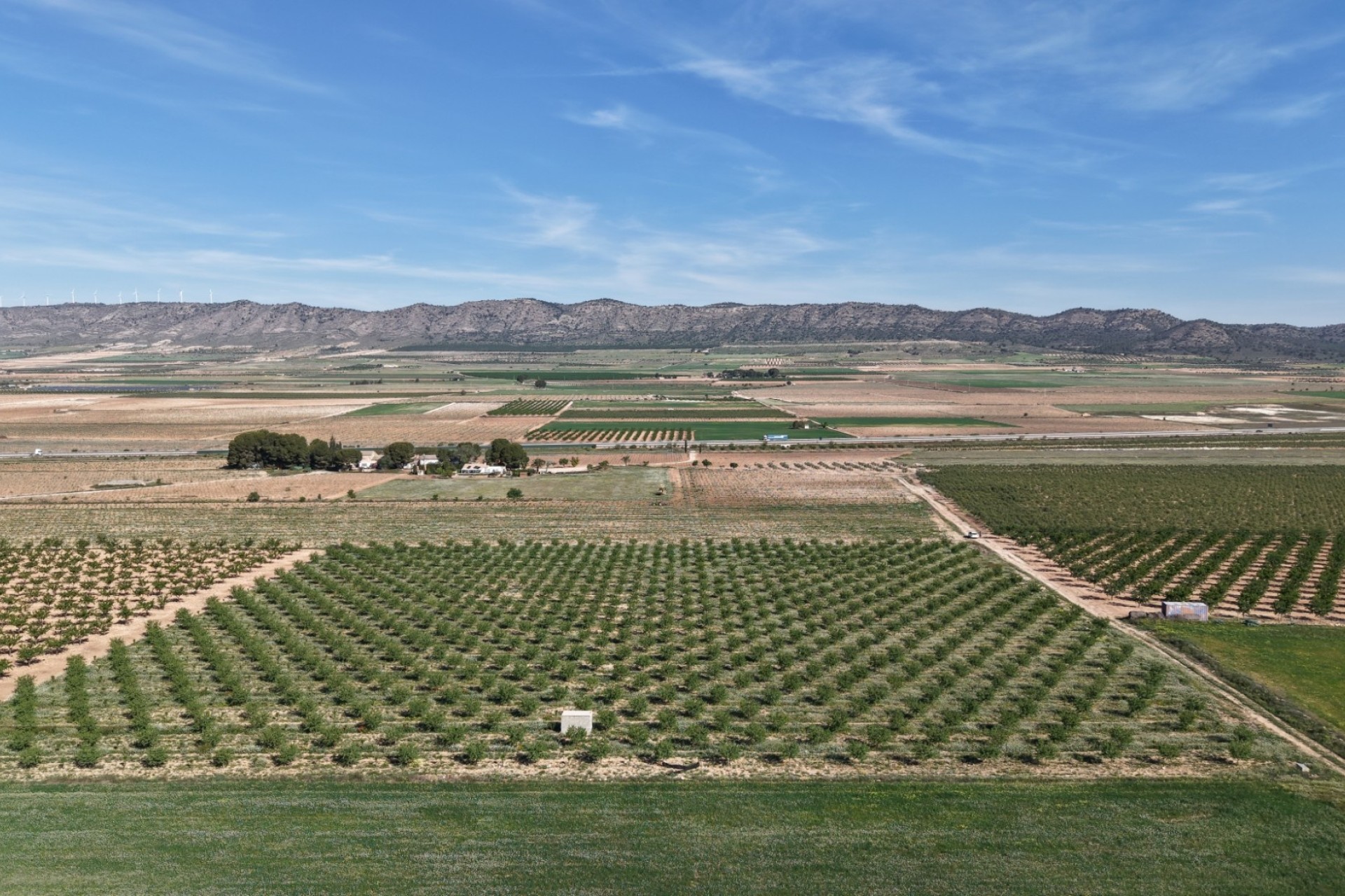 Revente - Parcelle Terrain -
Yecla - Yecla Murcia