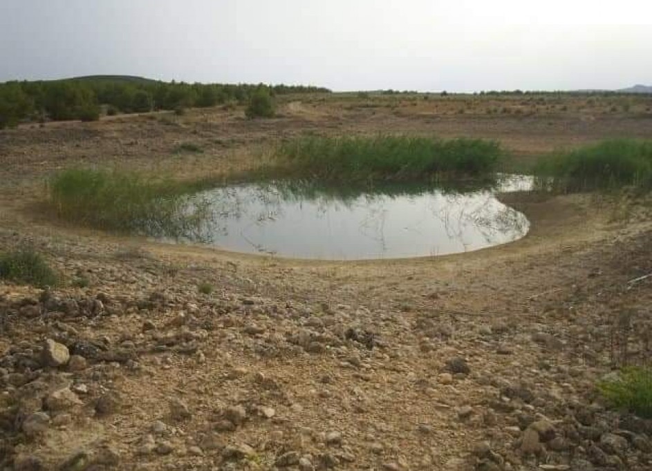 Revente - Parcelle Terrain -
Yecla