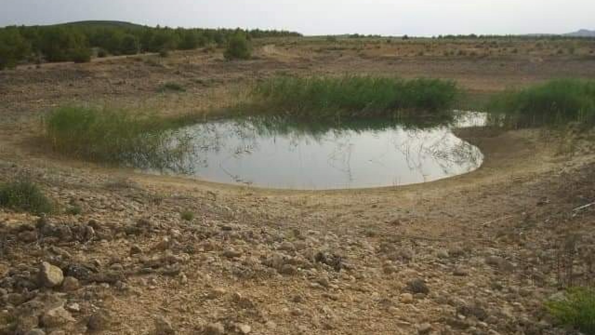 Revente - Parcelle Terrain -
Yecla