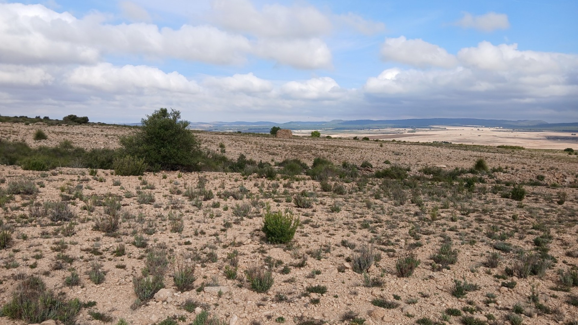 Revente - Parcelle Terrain -
Yecla