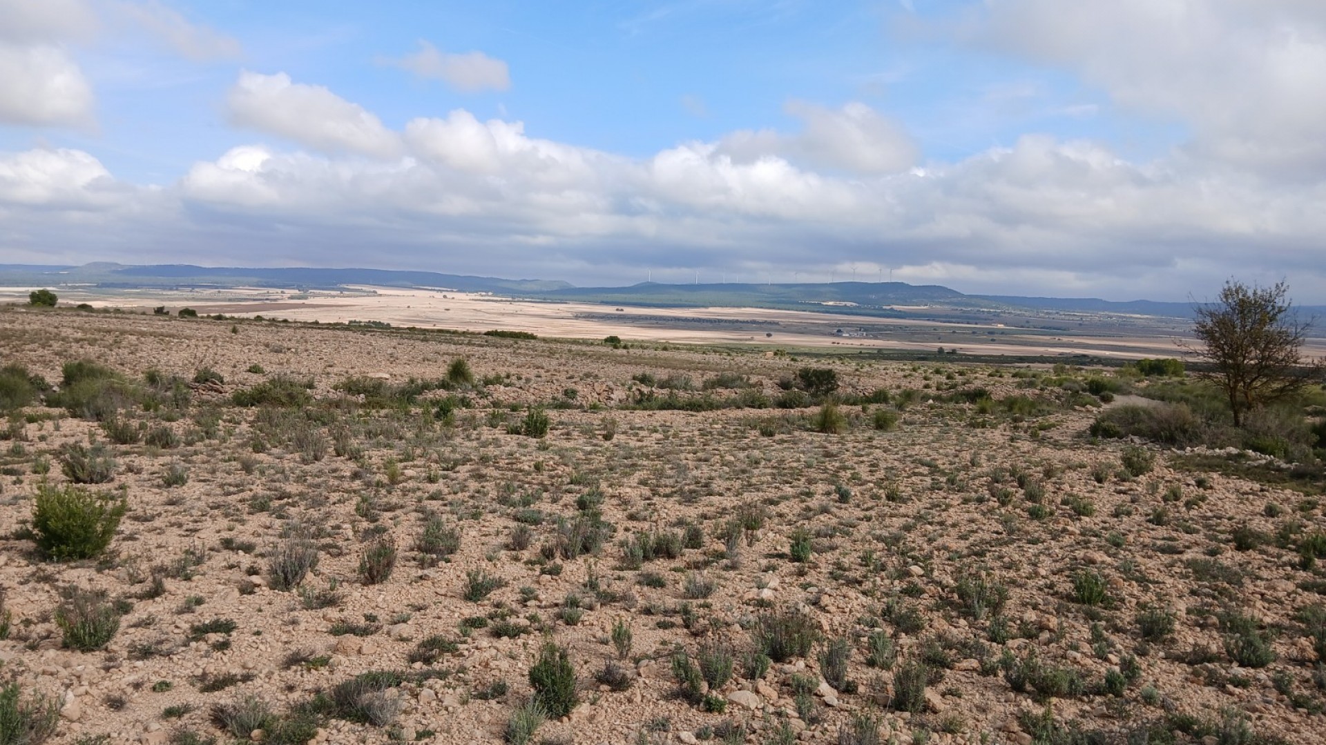 Revente - Parcelle Terrain -
Yecla