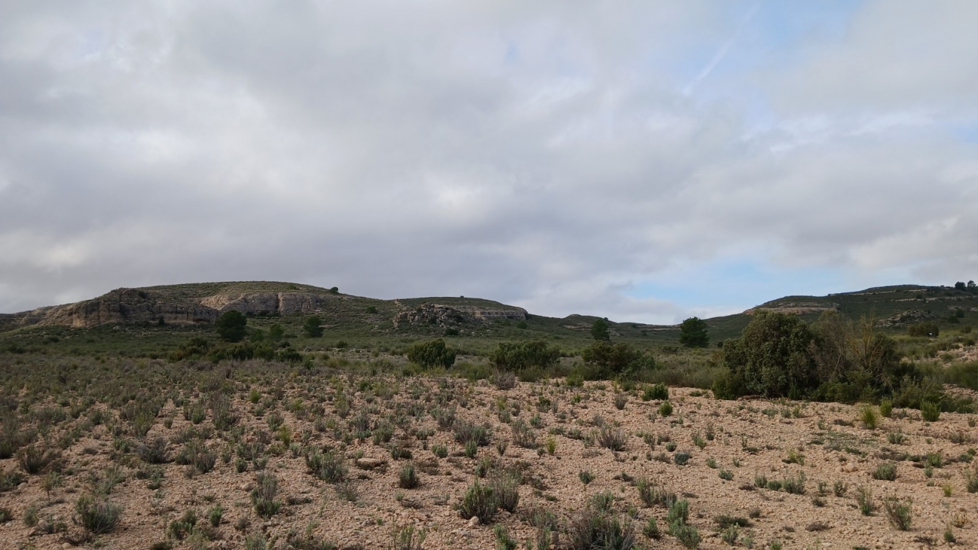 Revente - Parcelle Terrain -
Yecla