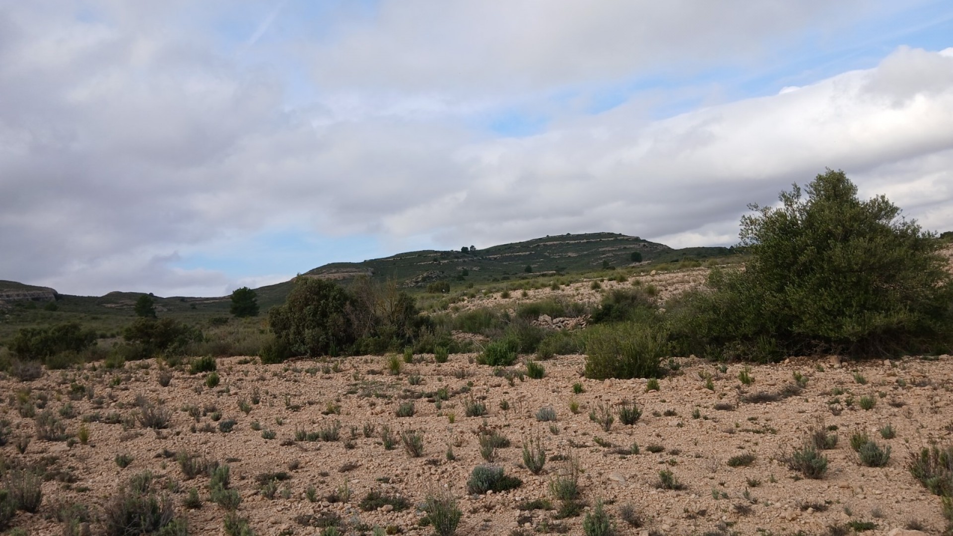 Revente - Parcelle Terrain -
Yecla