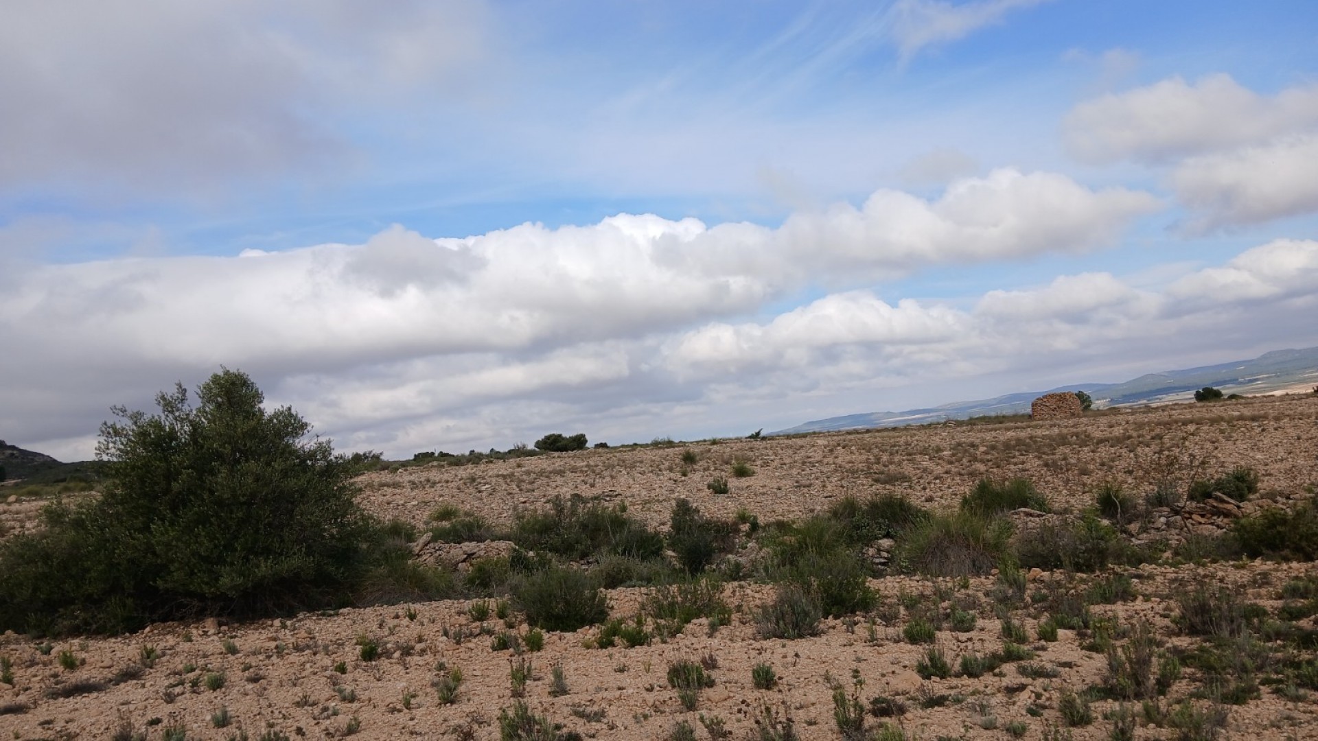 Revente - Parcelle Terrain -
Yecla