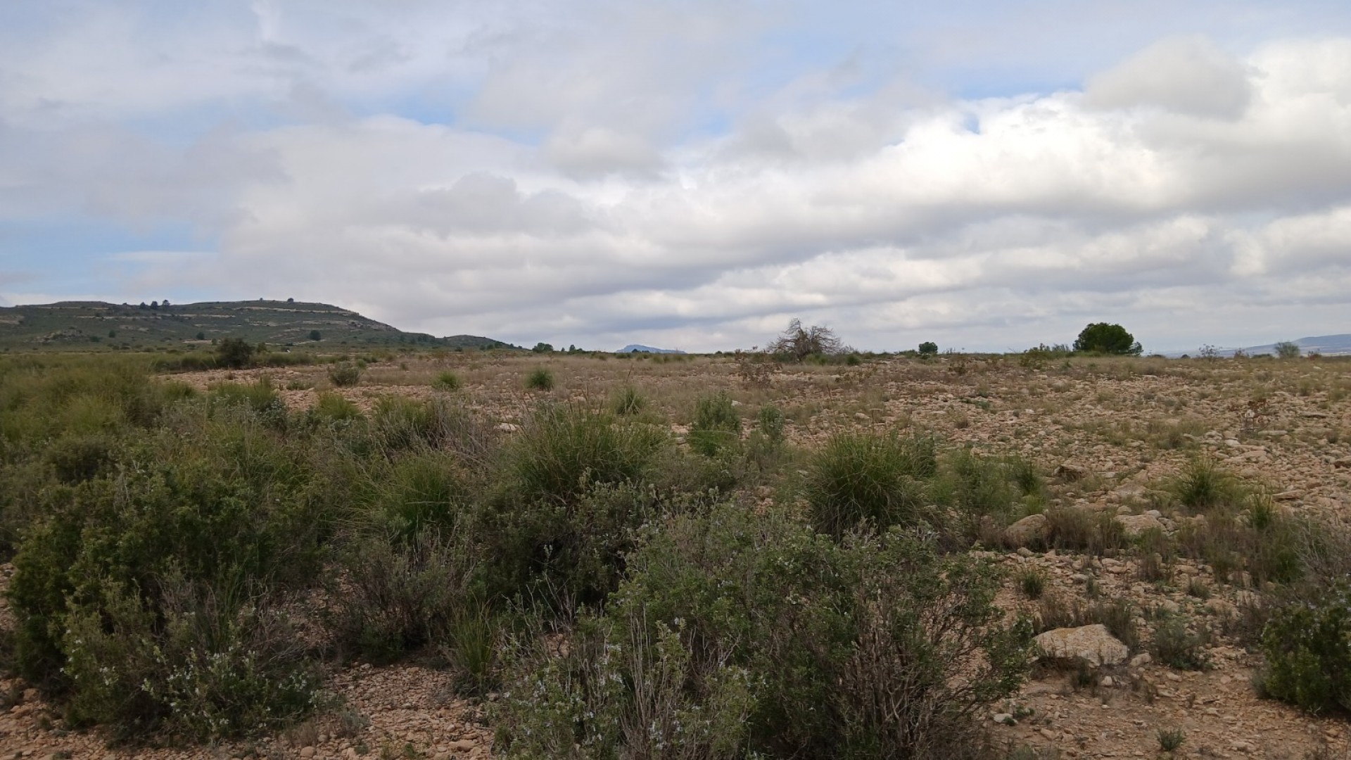 Revente - Parcelle Terrain -
Yecla