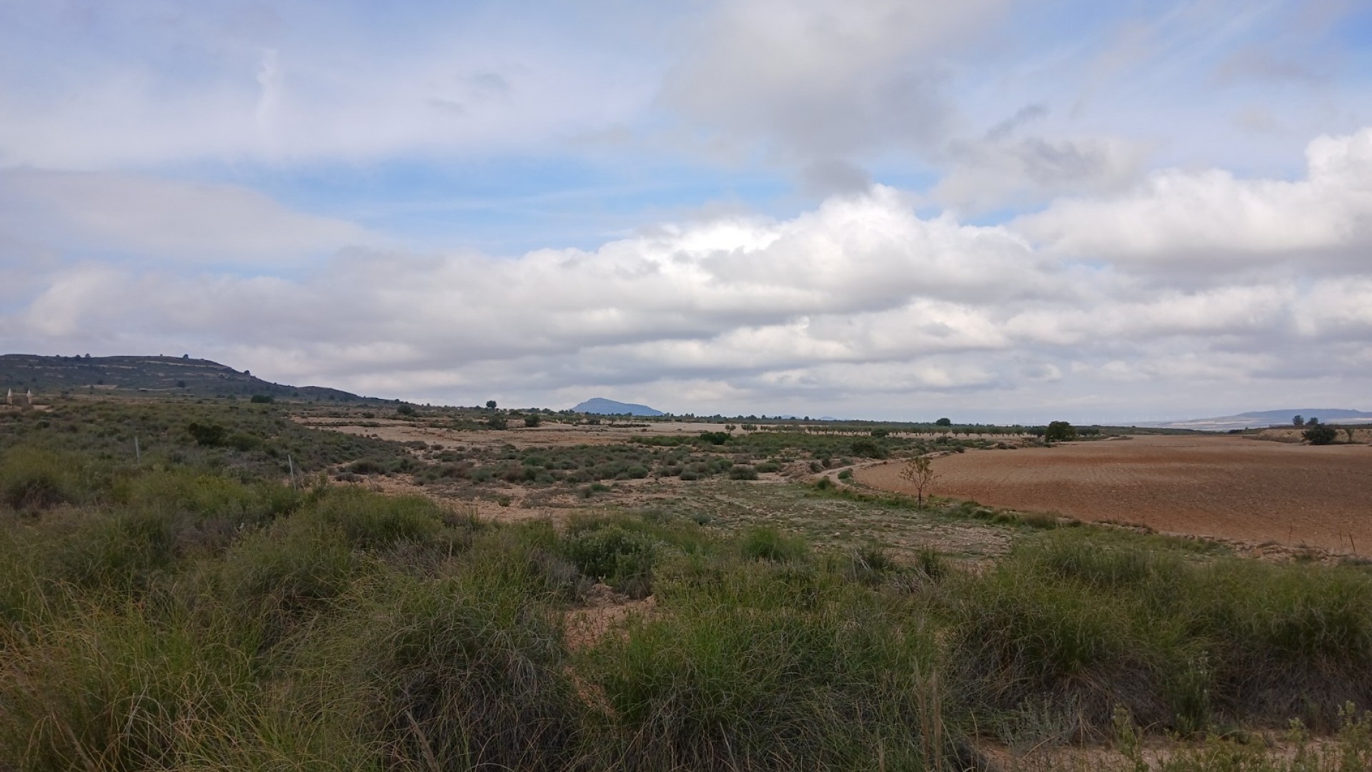 Revente - Parcelle Terrain -
Yecla