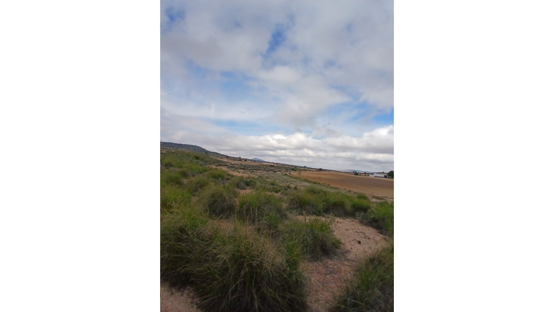 Revente - Parcelle Terrain -
Yecla