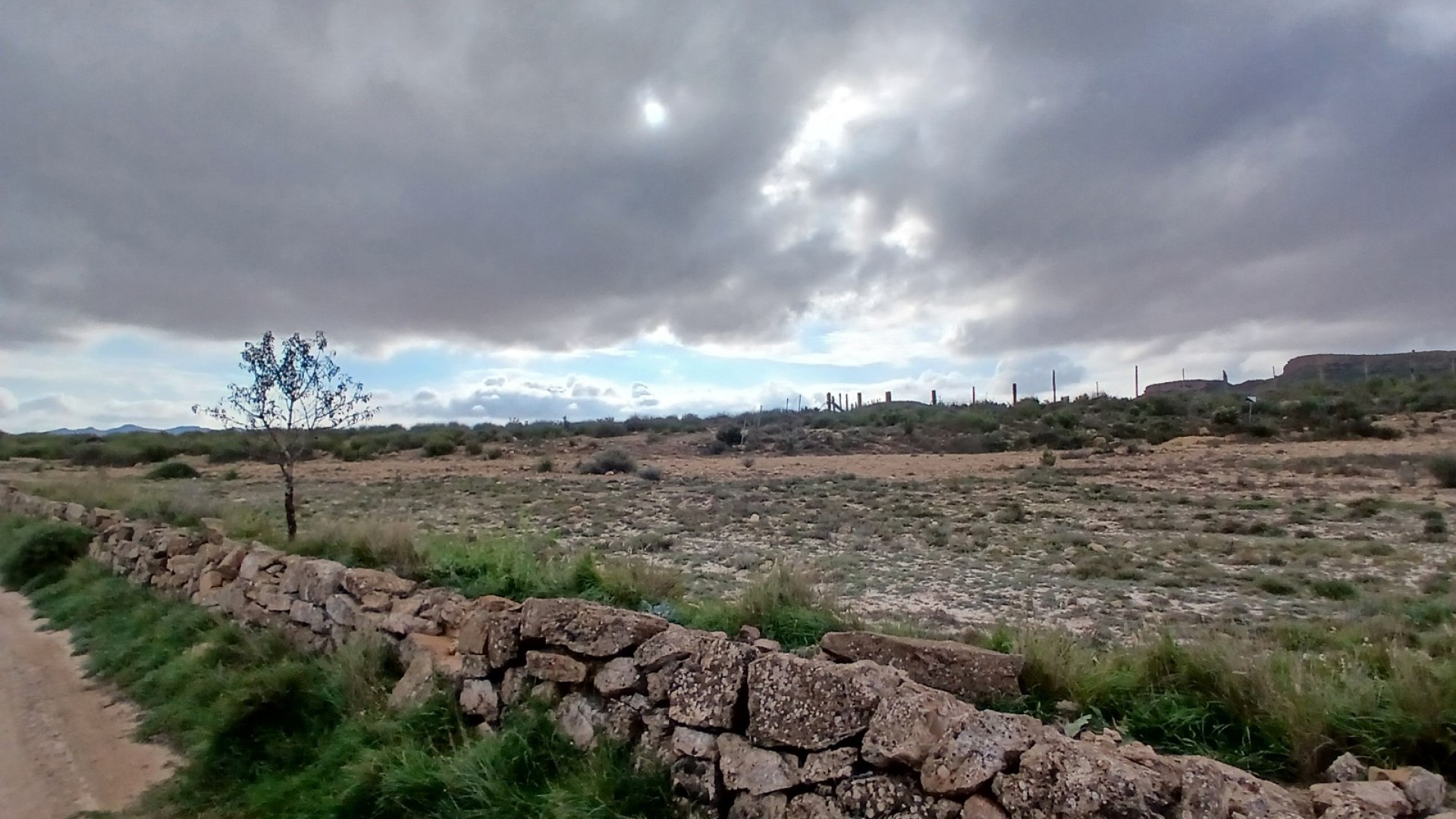 Revente - Parcelle Terrain -
Yecla