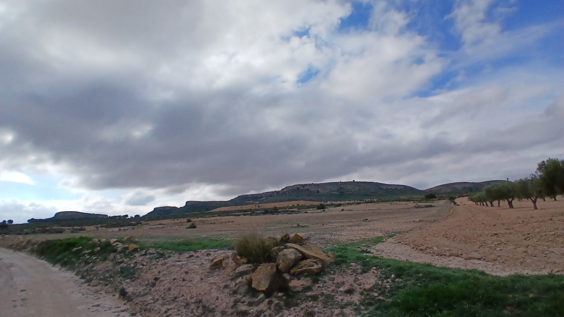 Revente - Parcelle Terrain -
Yecla