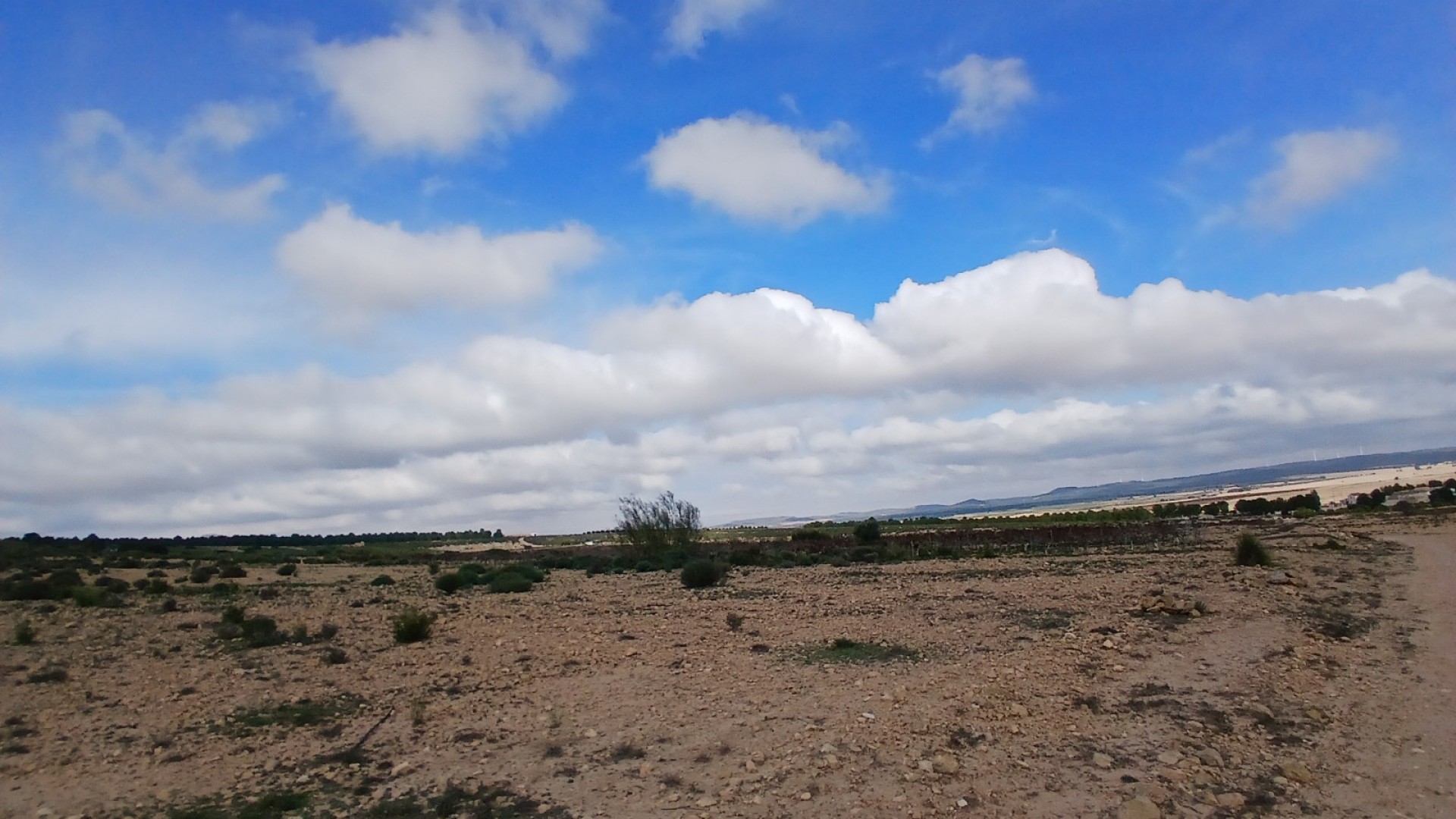 Revente - Parcelle Terrain -
Yecla