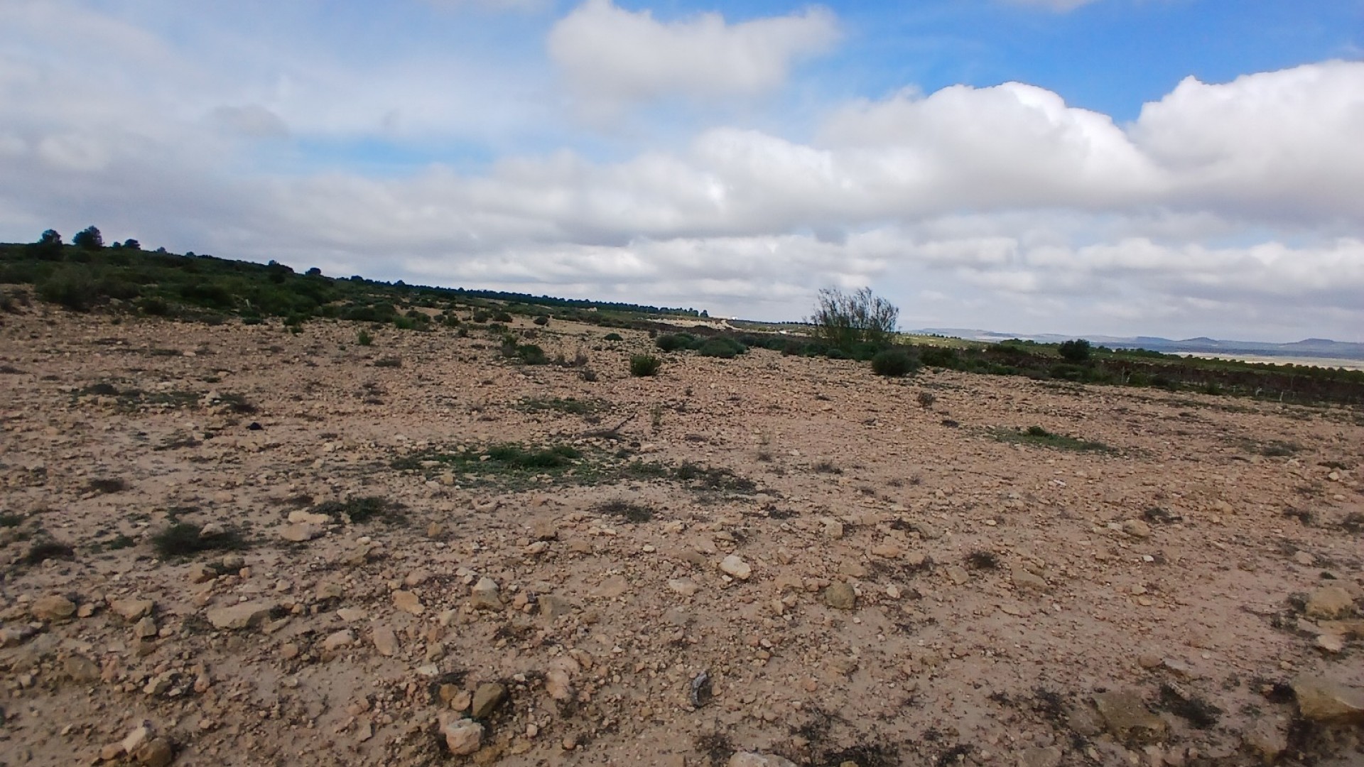 Revente - Parcelle Terrain -
Yecla