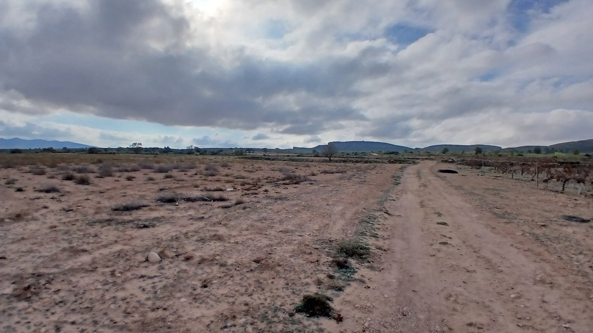 Revente - Parcelle Terrain -
Yecla