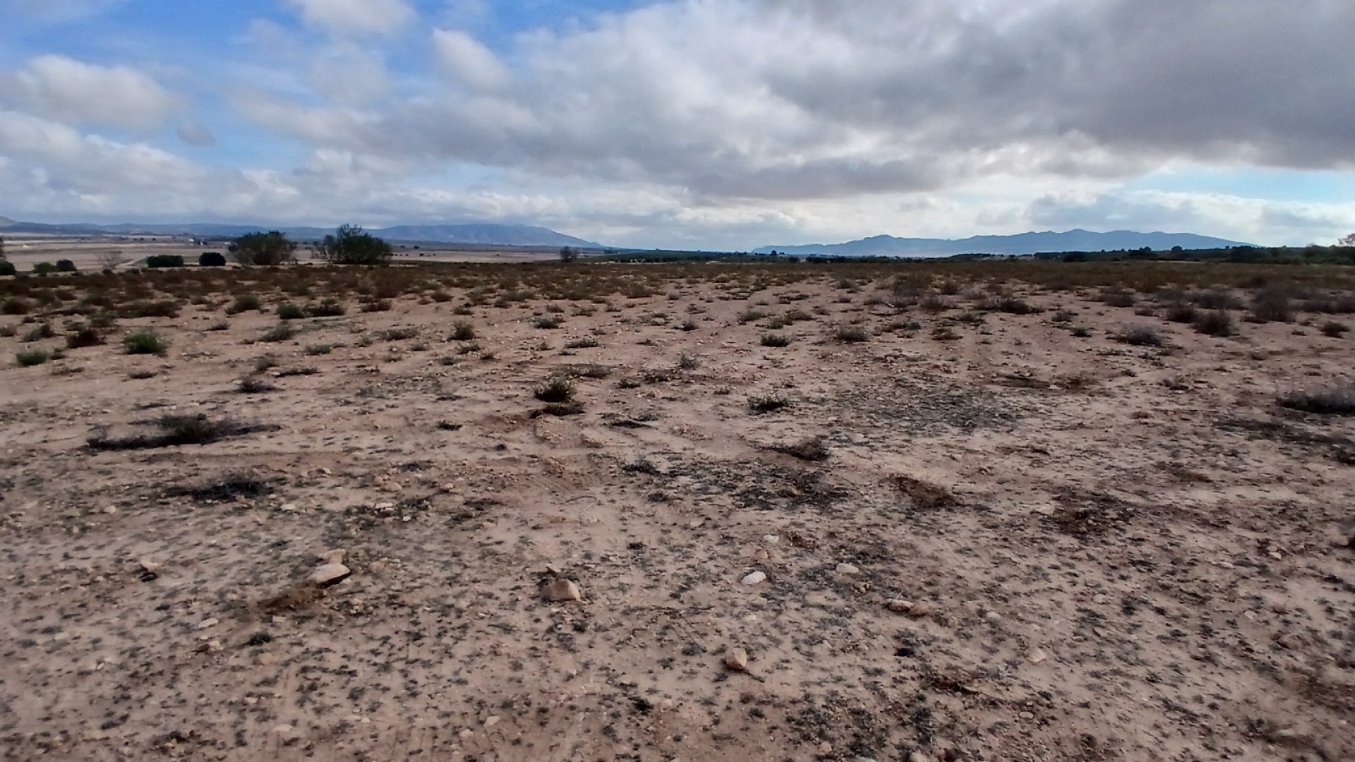 Revente - Parcelle Terrain -
Yecla