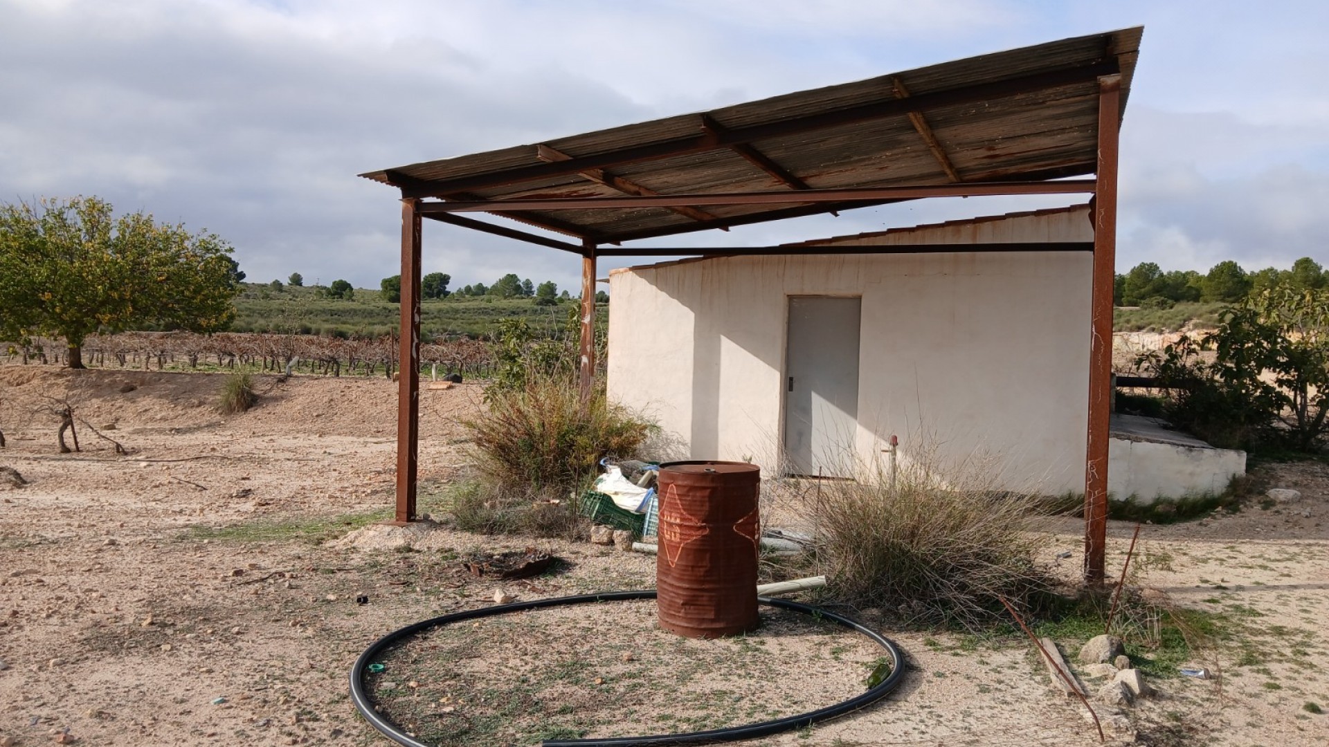 Revente - Parcelle Terrain -
Yecla