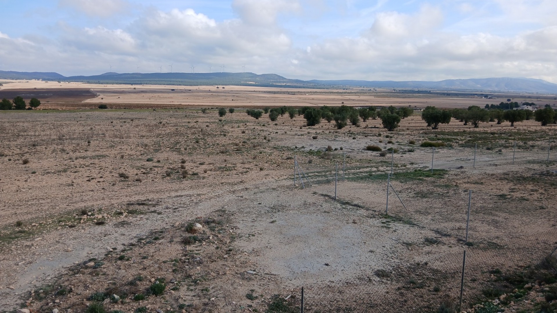 Revente - Parcelle Terrain -
Yecla