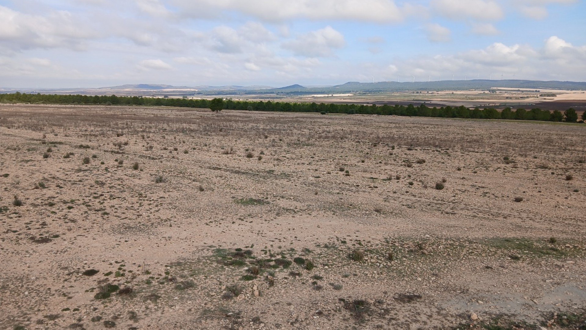 Revente - Parcelle Terrain -
Yecla