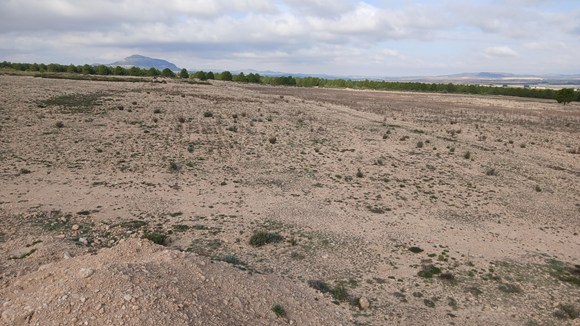 Revente - Parcelle Terrain -
Yecla