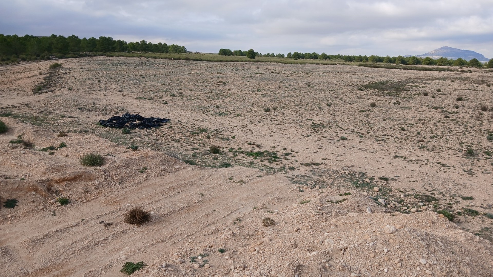 Revente - Parcelle Terrain -
Yecla