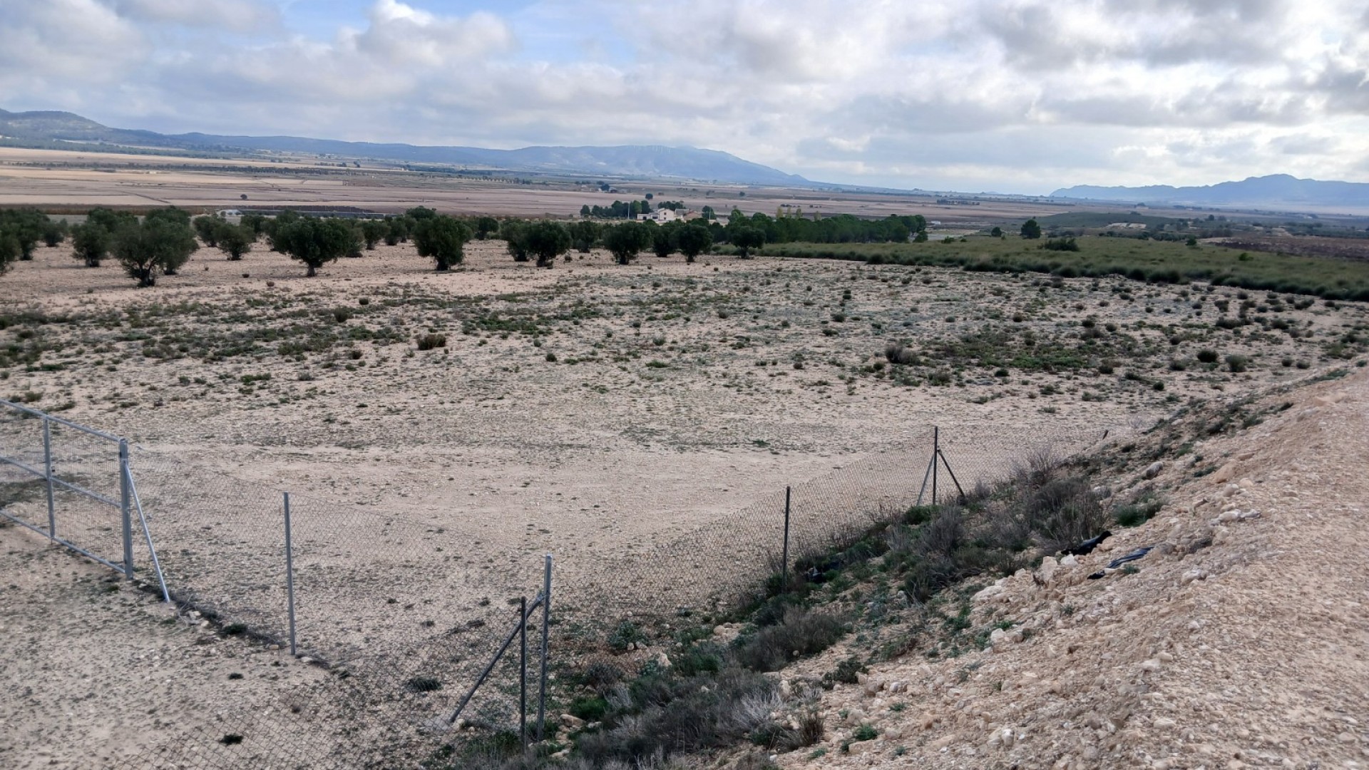 Revente - Parcelle Terrain -
Yecla