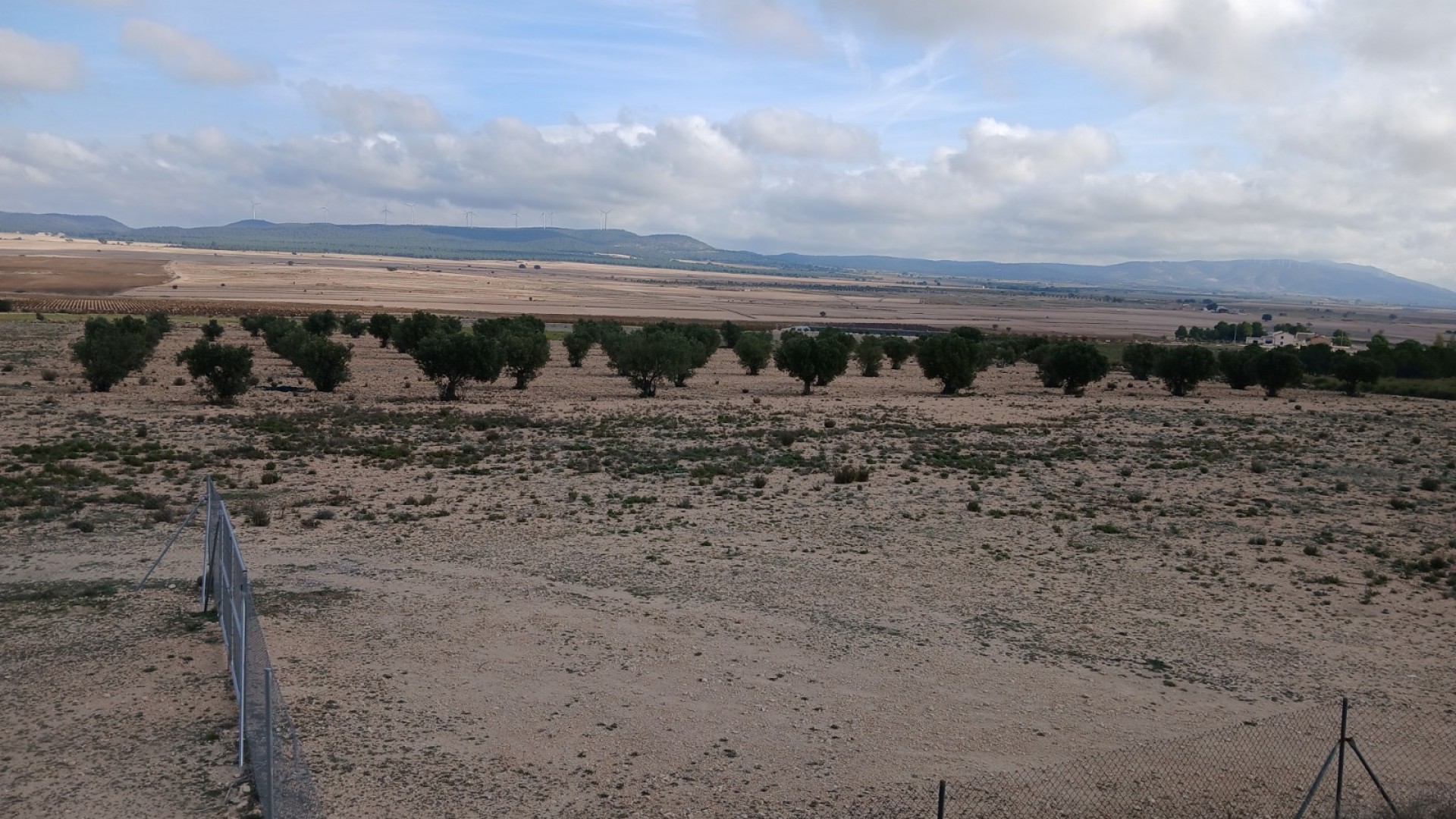 Revente - Parcelle Terrain -
Yecla