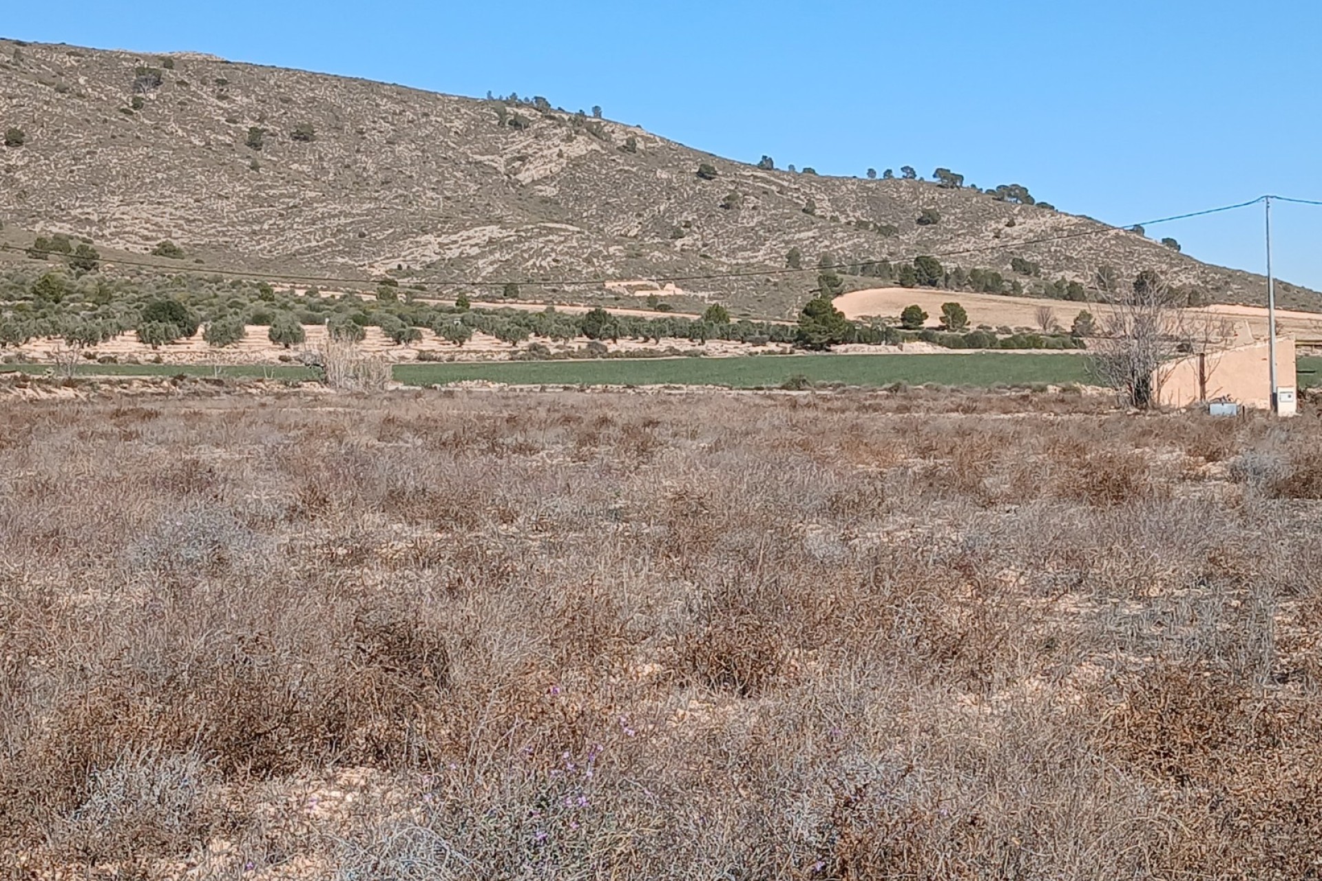 Revente - Parcelle Terrain -
Yecla