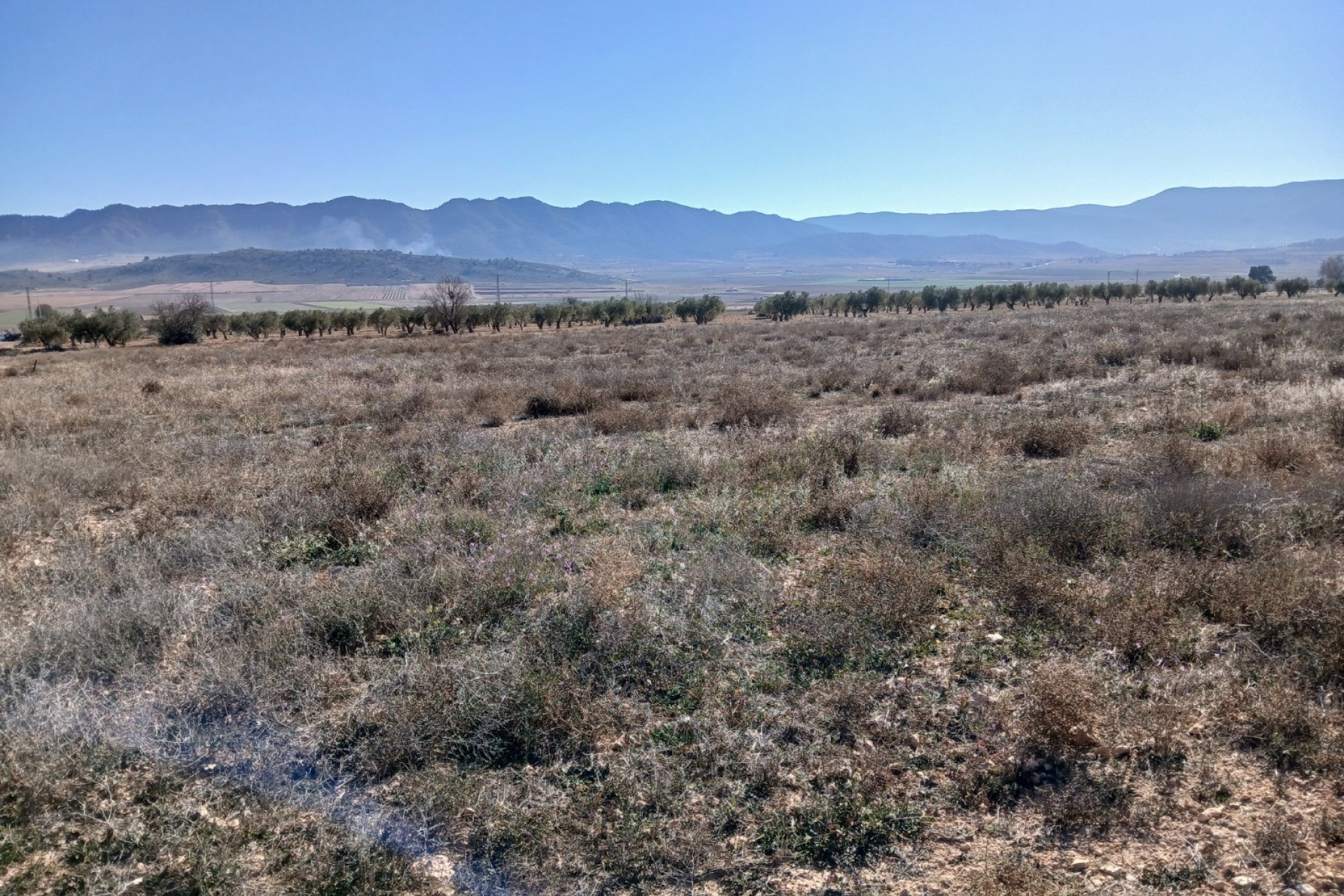 Revente - Parcelle Terrain -
Yecla