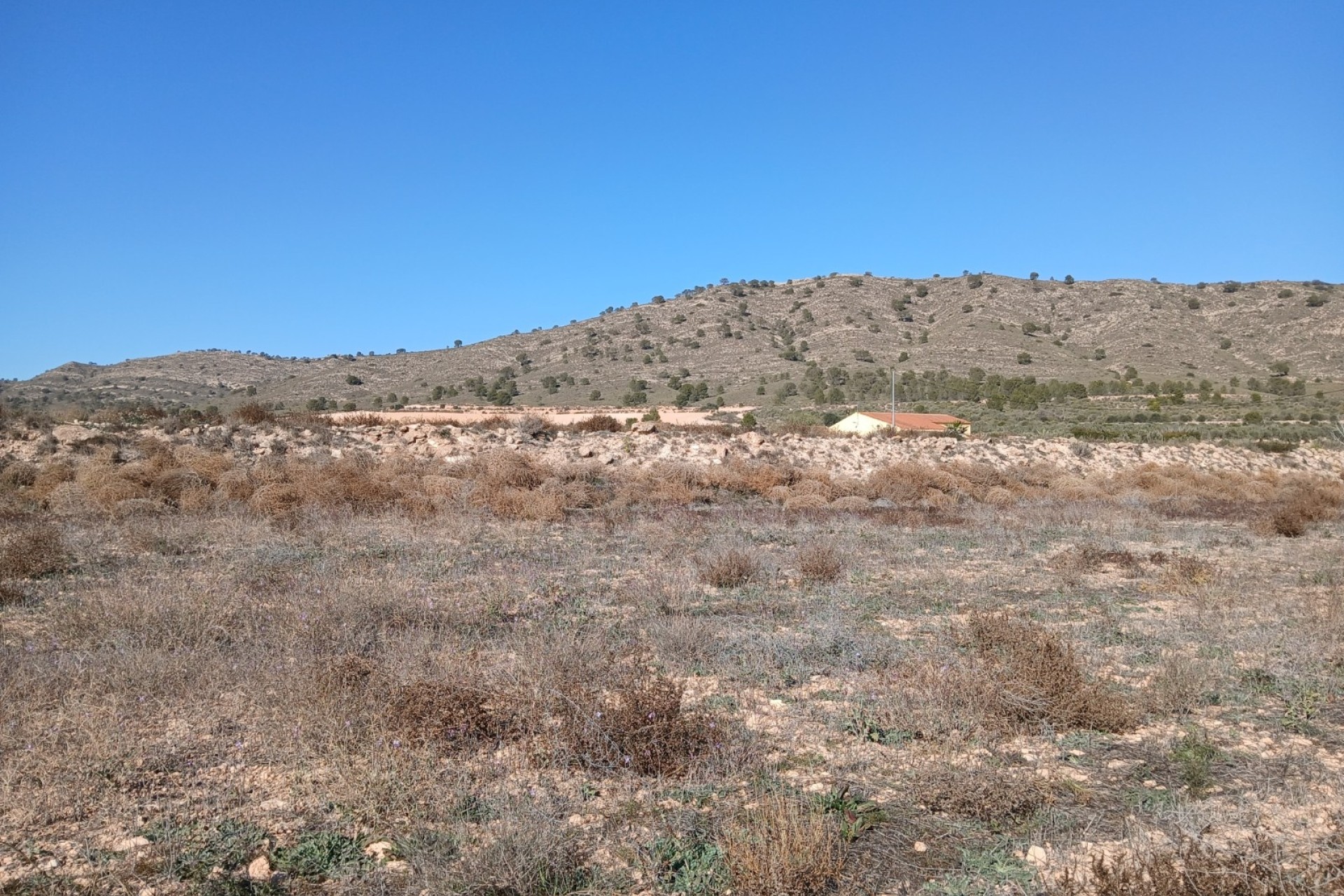 Revente - Parcelle Terrain -
Yecla