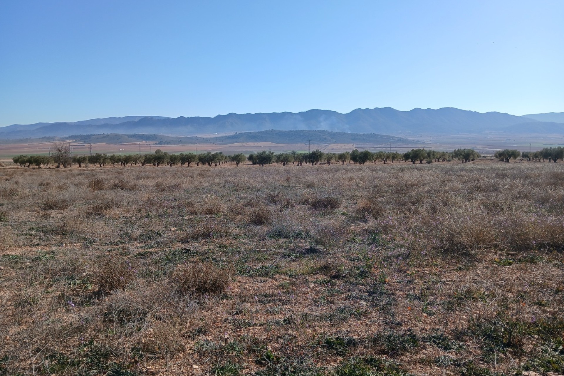 Revente - Parcelle Terrain -
Yecla