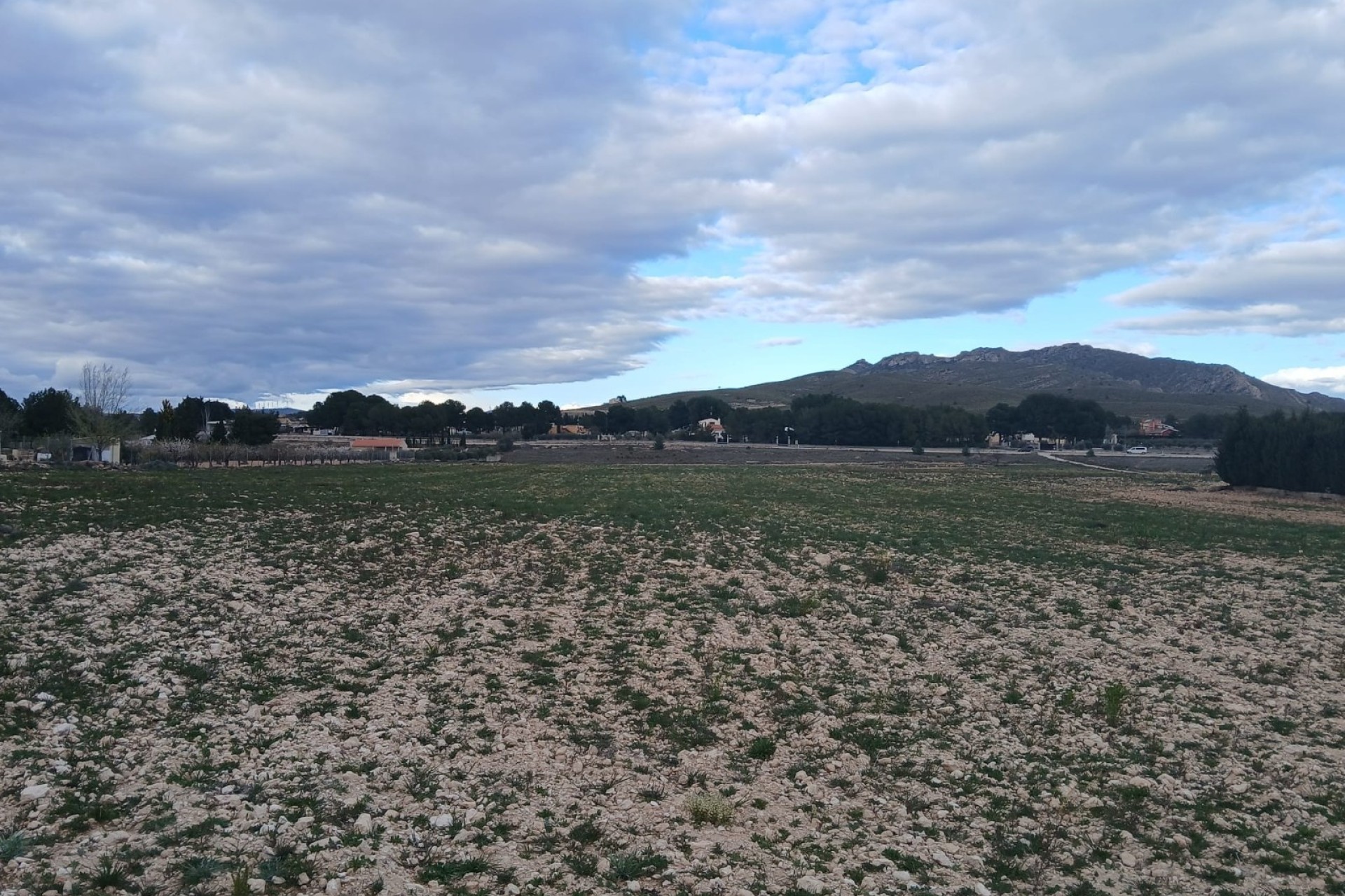 Revente - Parcelle Terrain -
Yecla