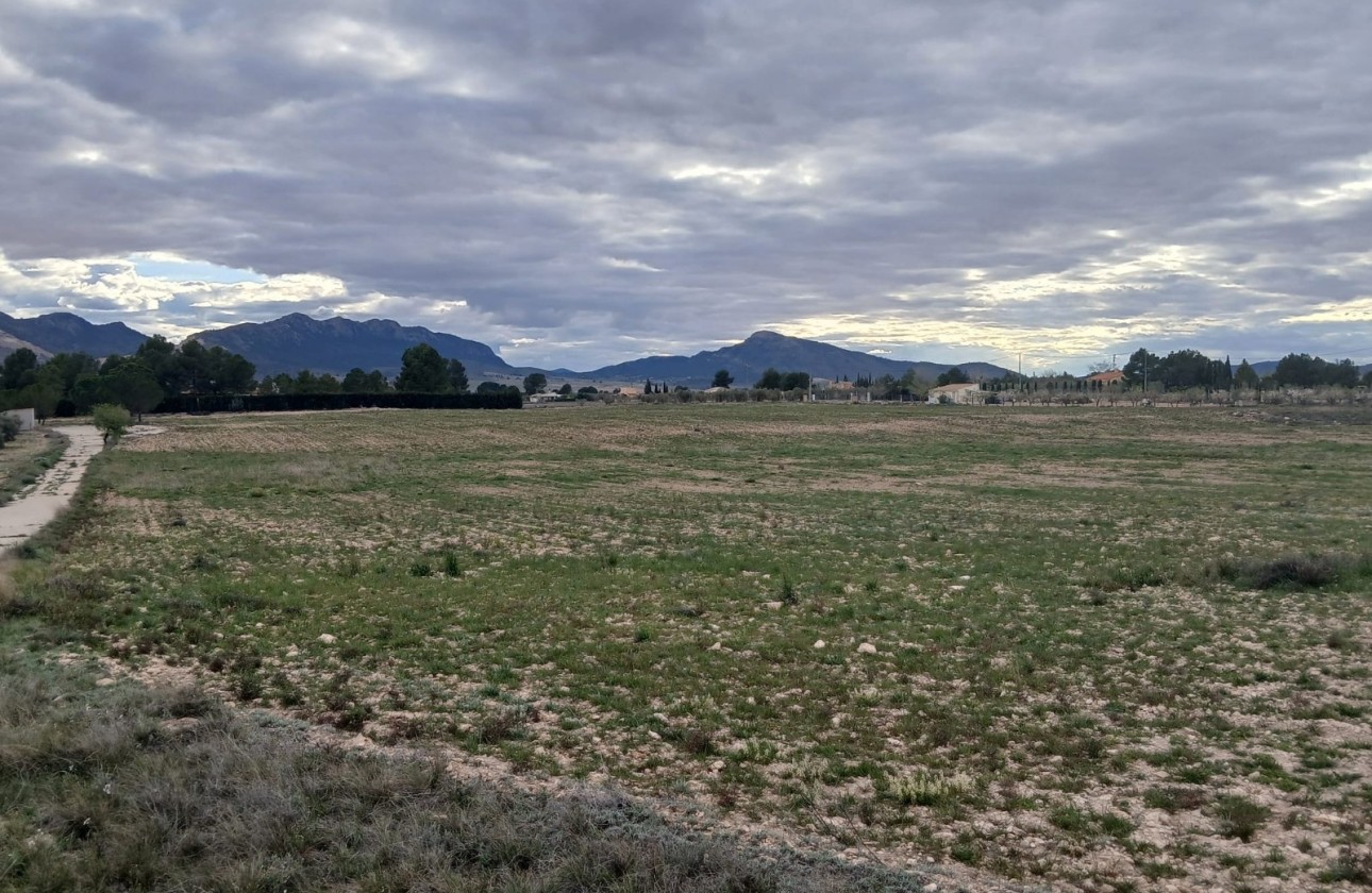 Revente - Parcelle Terrain -
Yecla