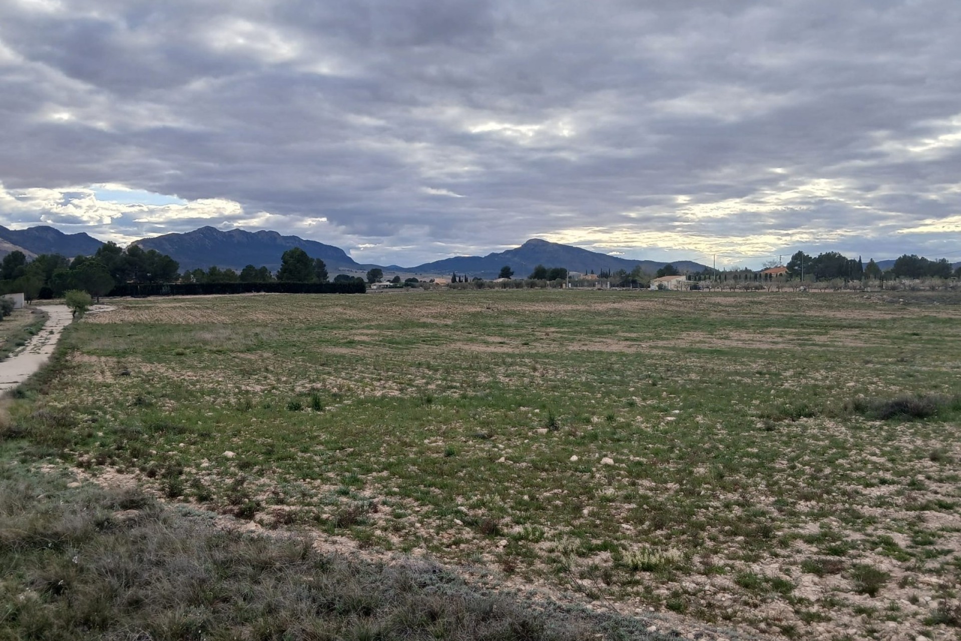 Revente - Parcelle Terrain -
Yecla