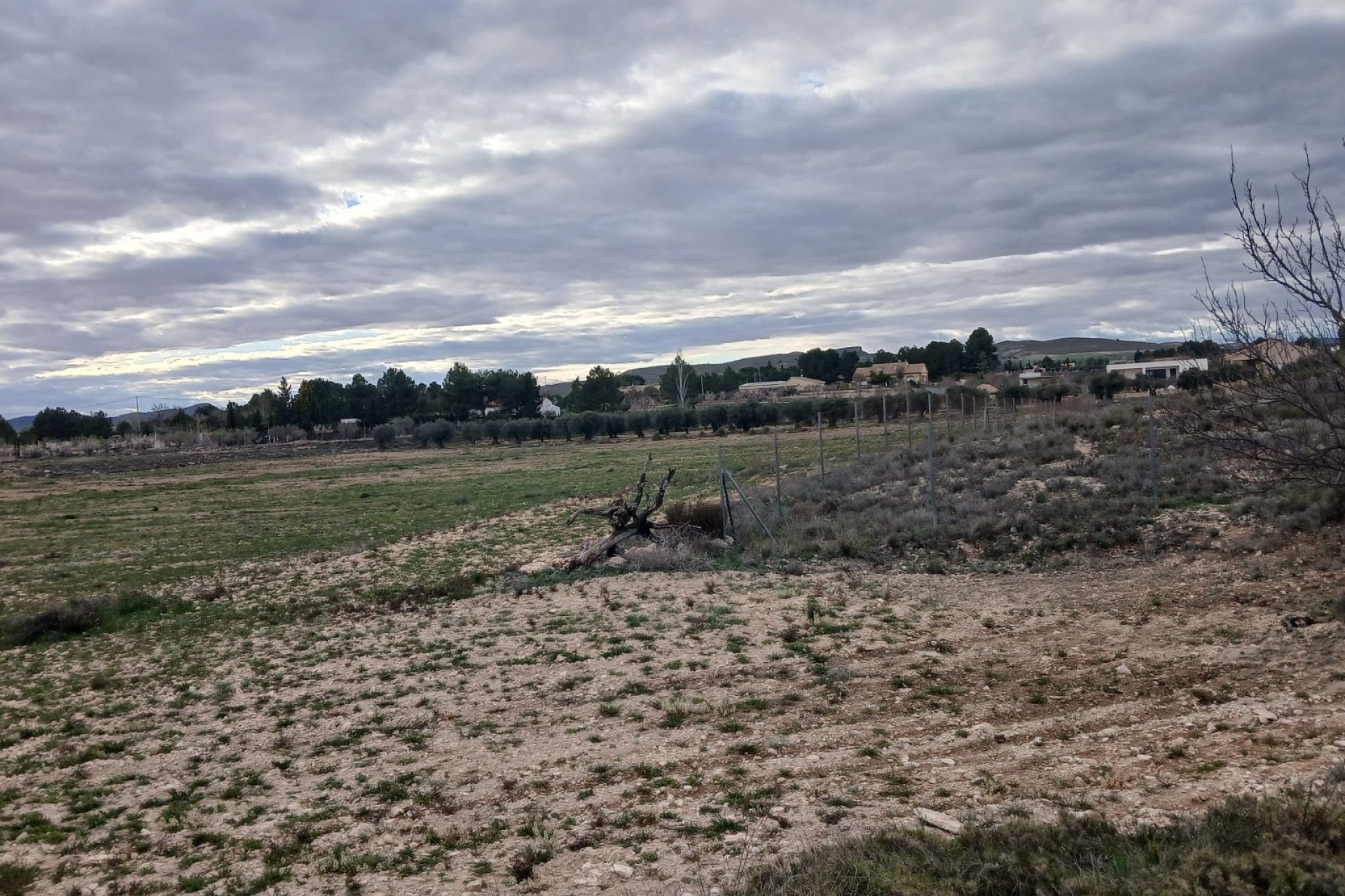 Revente - Parcelle Terrain -
Yecla