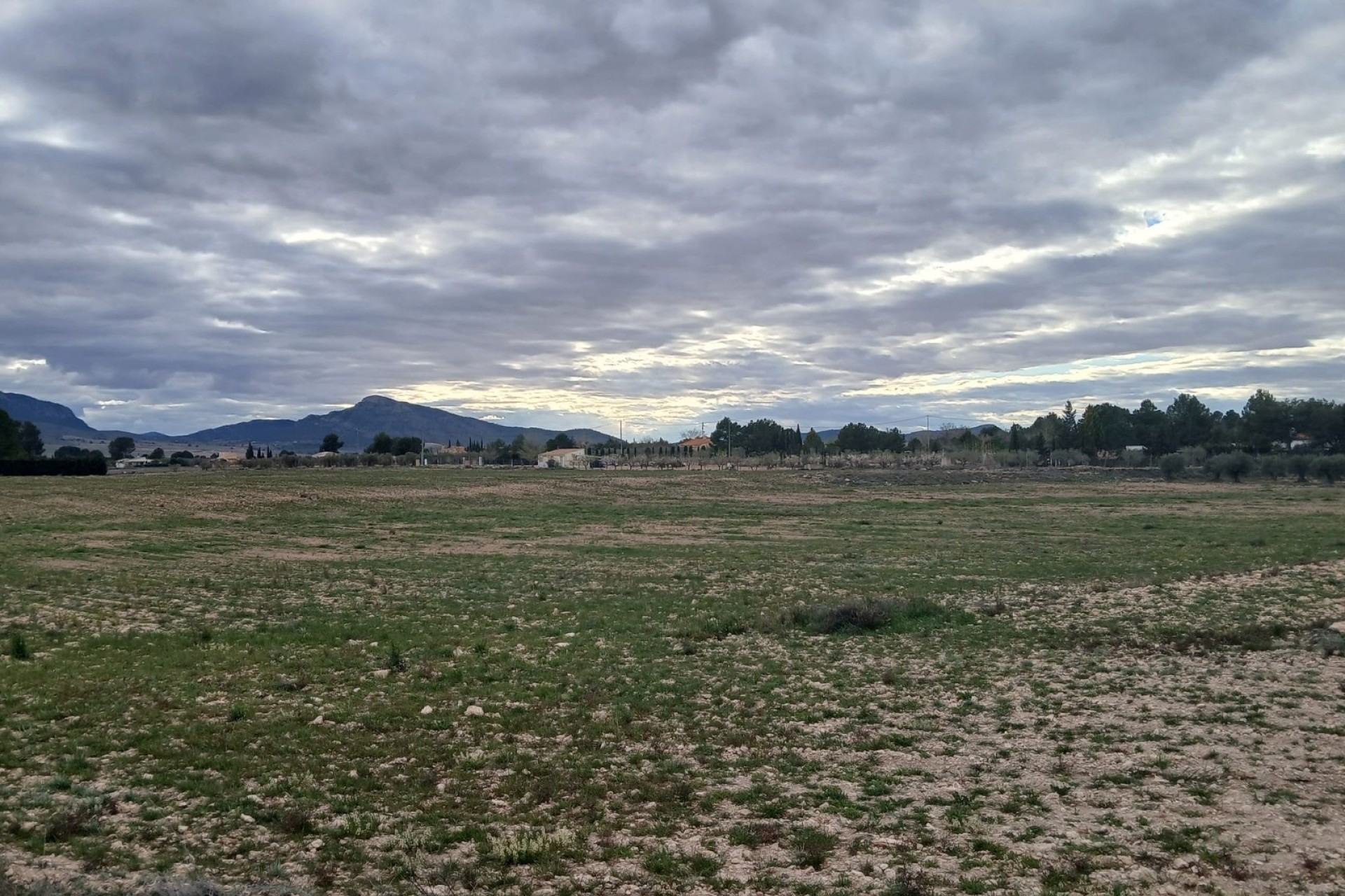 Revente - Parcelle Terrain -
Yecla