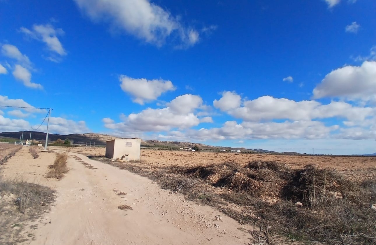 Revente - Parcelle Terrain -
Yecla