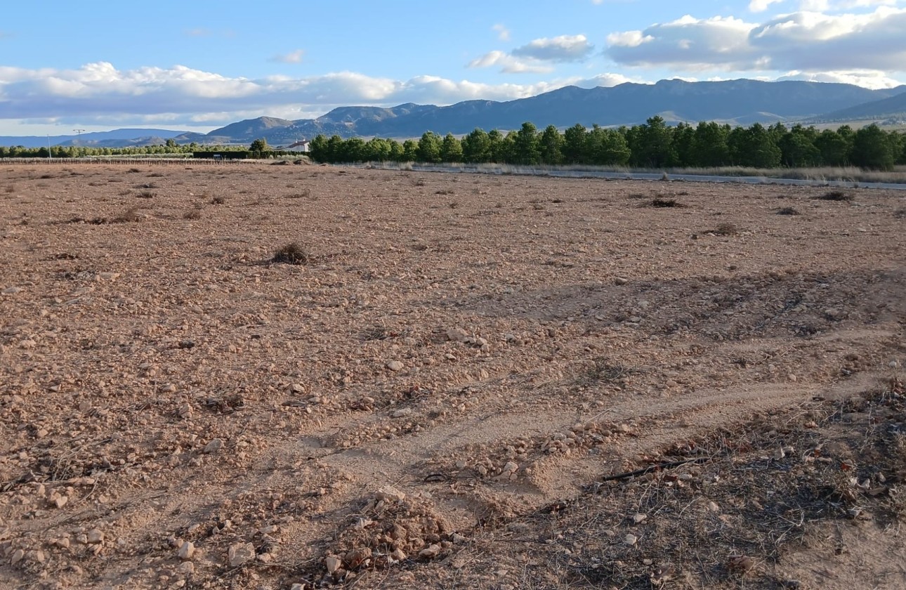 Revente - Parcelle Terrain -
Yecla