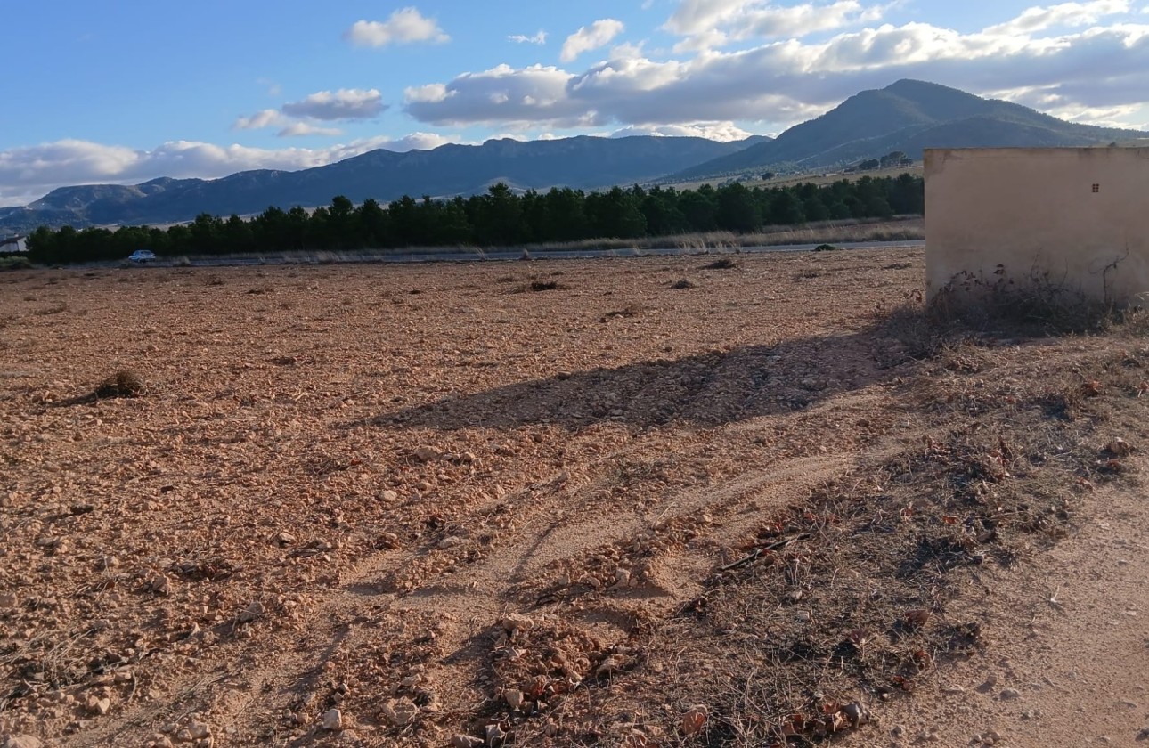 Revente - Parcelle Terrain -
Yecla