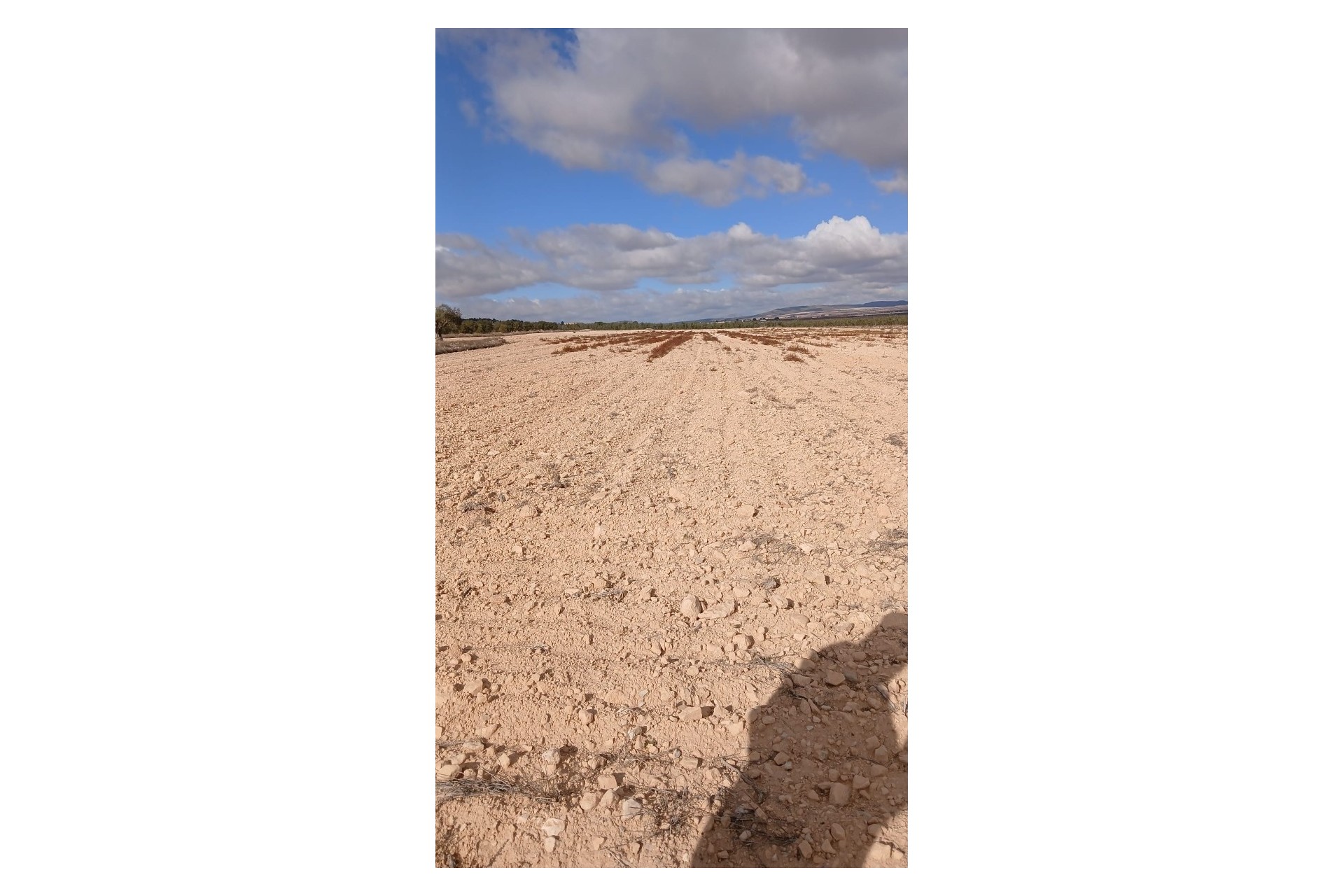 Revente - Parcelle Terrain -
Yecla