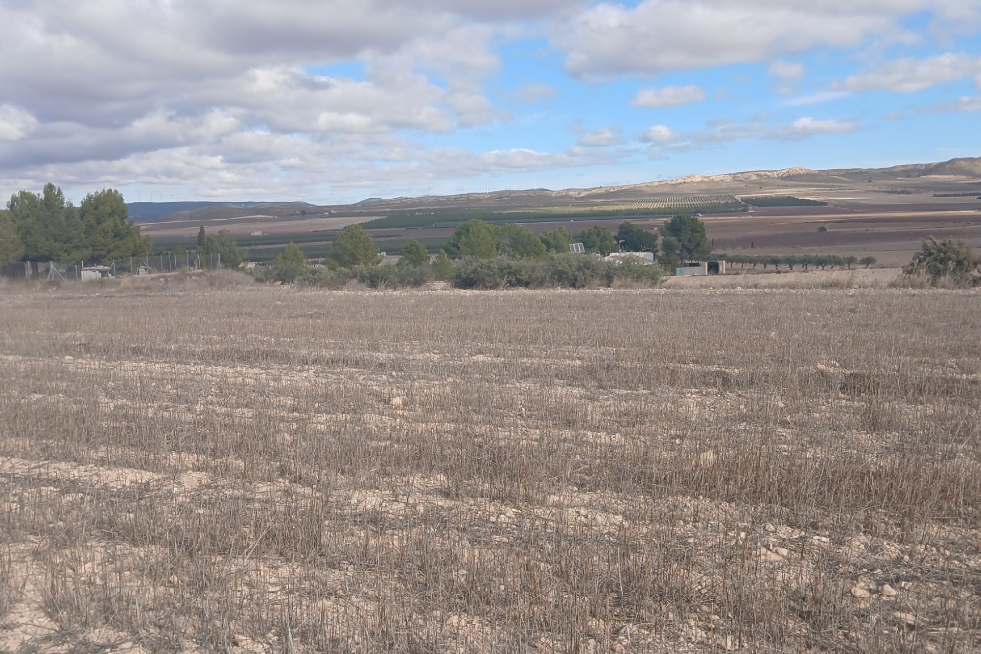 Revente - Parcelle Terrain -
Yecla