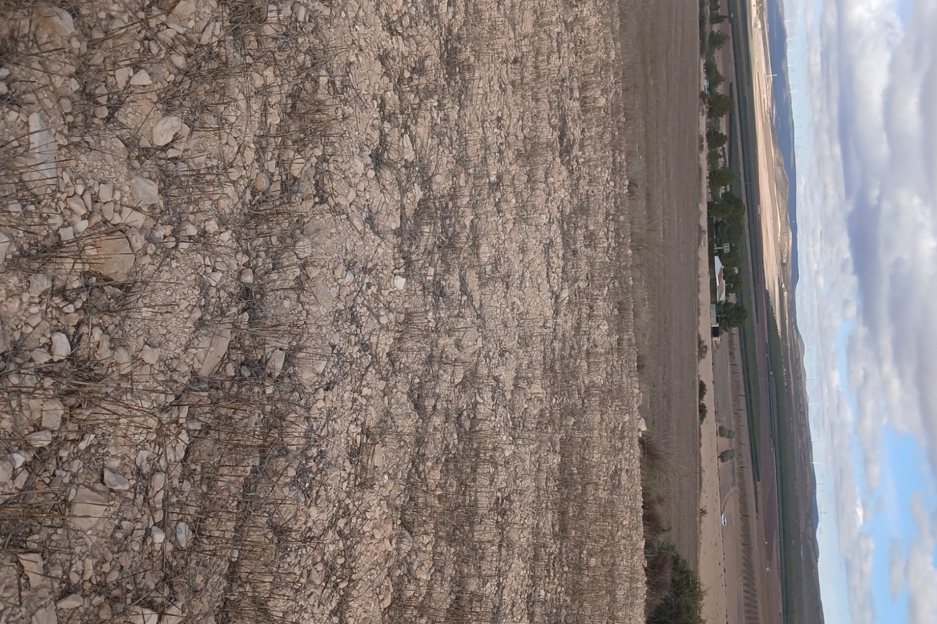 Revente - Parcelle Terrain -
Yecla