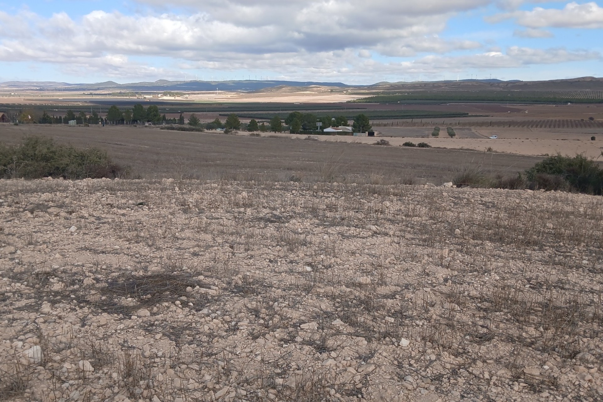 Revente - Parcelle Terrain -
Yecla