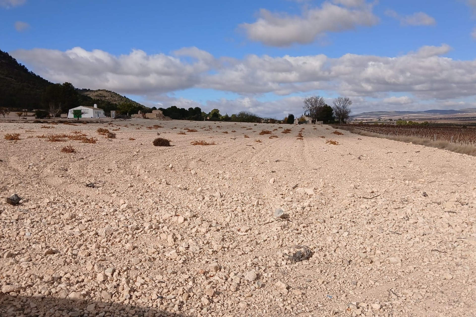 Revente - Parcelle Terrain -
Yecla