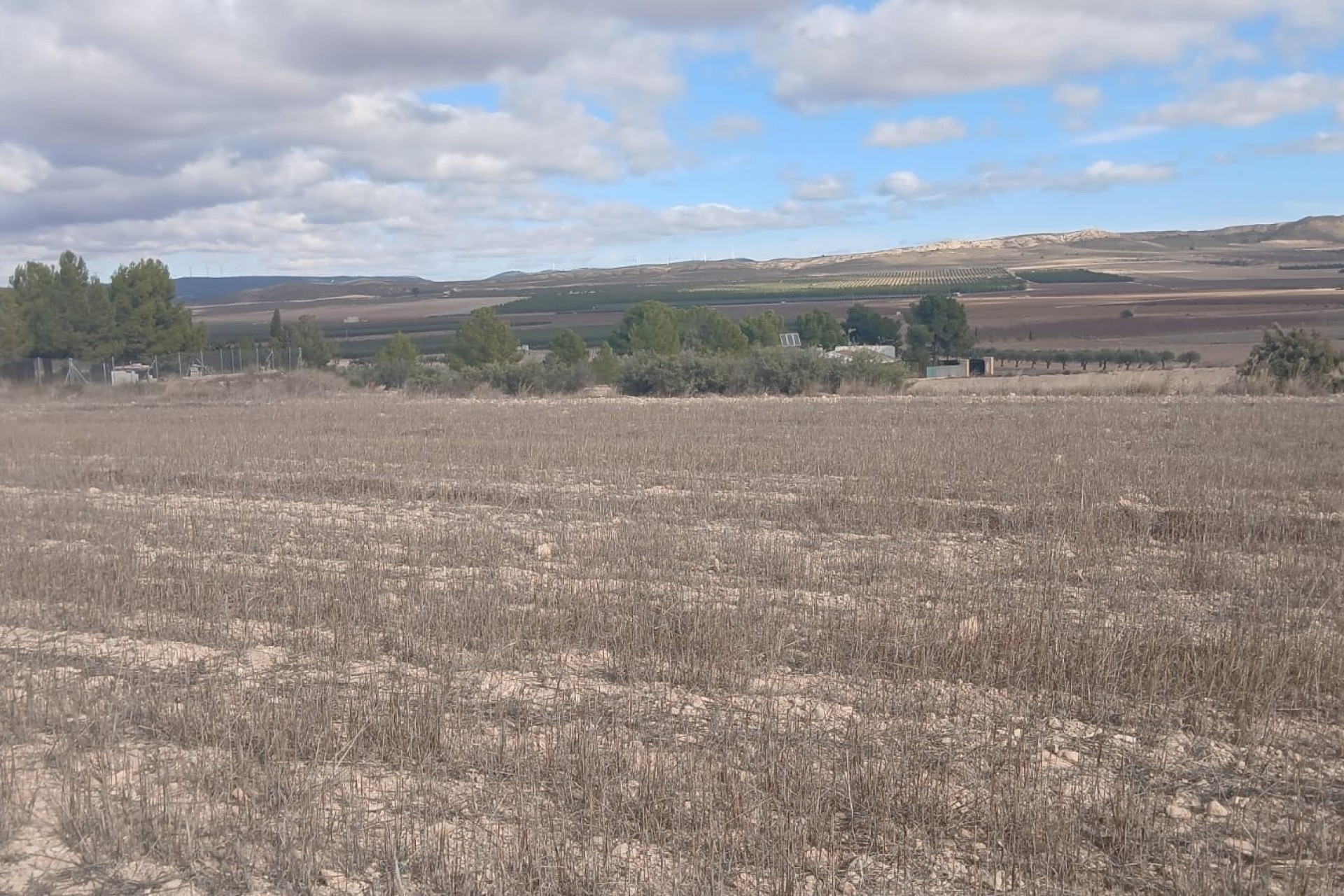 Revente - Parcelle Terrain -
Yecla