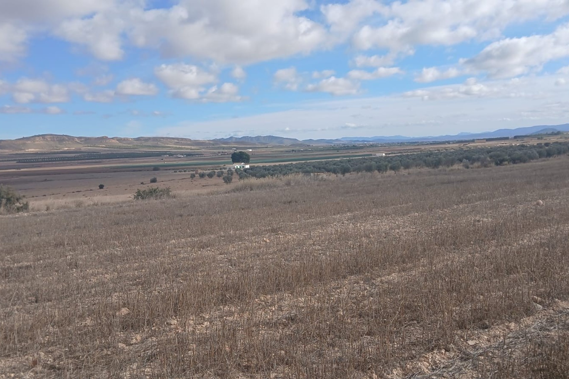 Revente - Parcelle Terrain -
Yecla