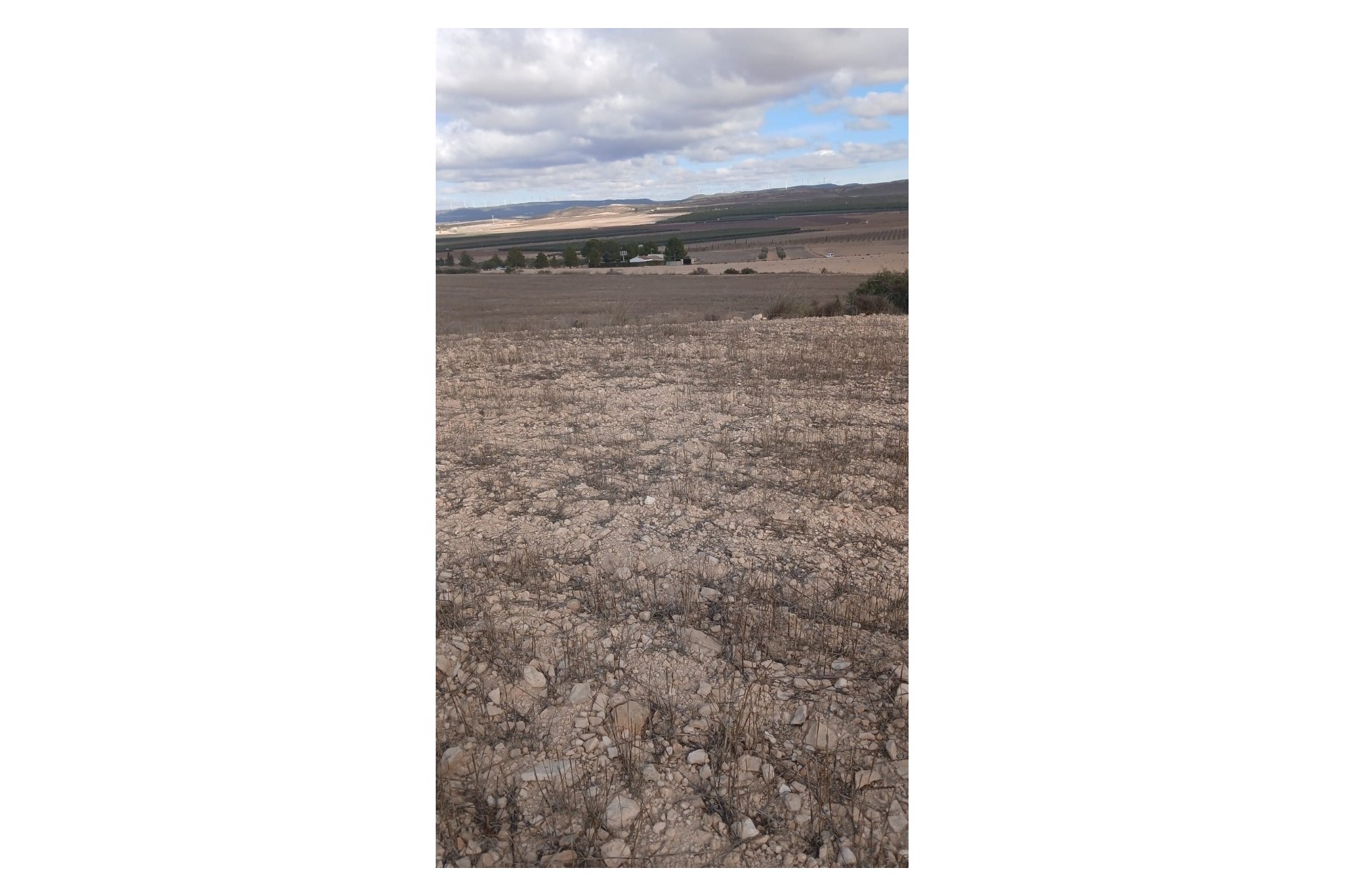 Revente - Parcelle Terrain -
Yecla