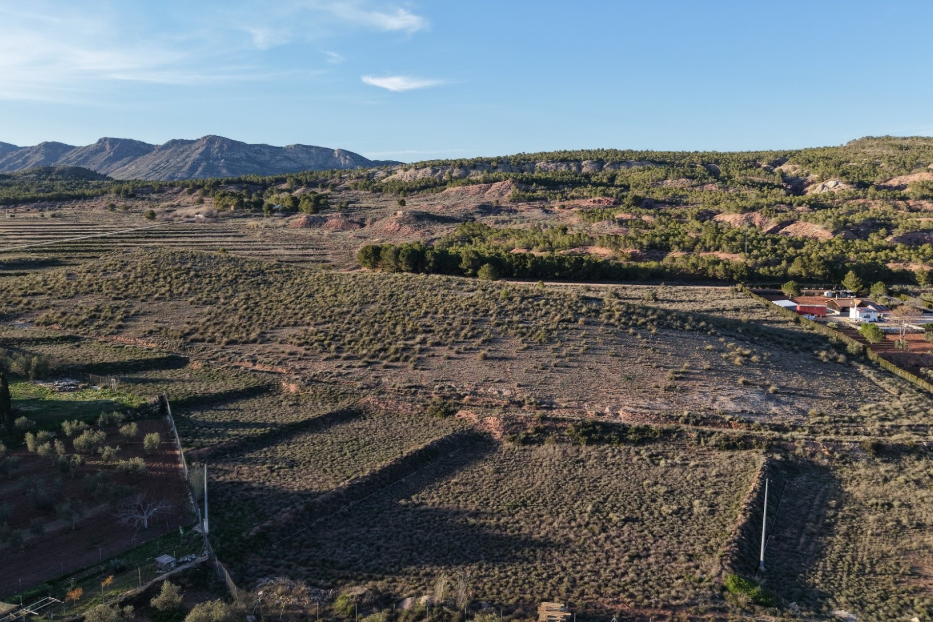 Revente - Parcelle Terrain -
Yecla