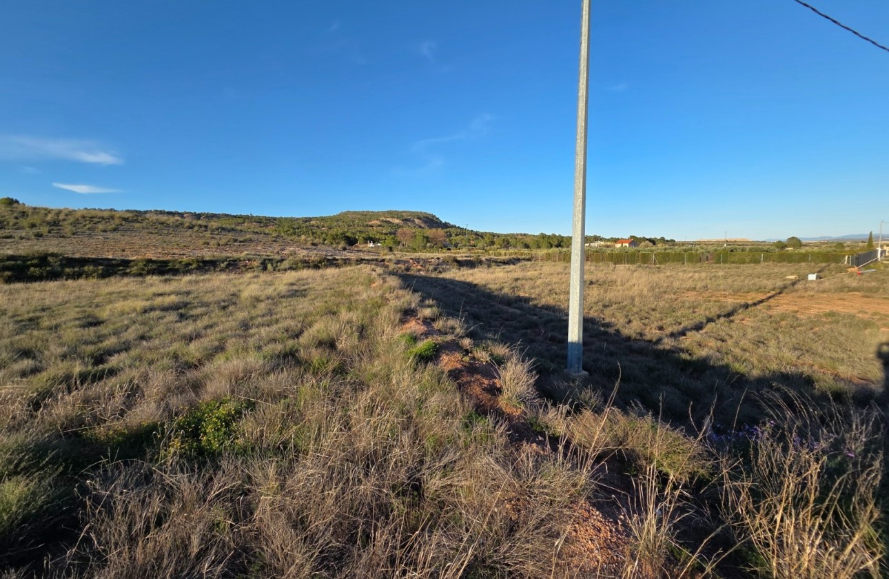 Revente - Parcelle Terrain -
Yecla